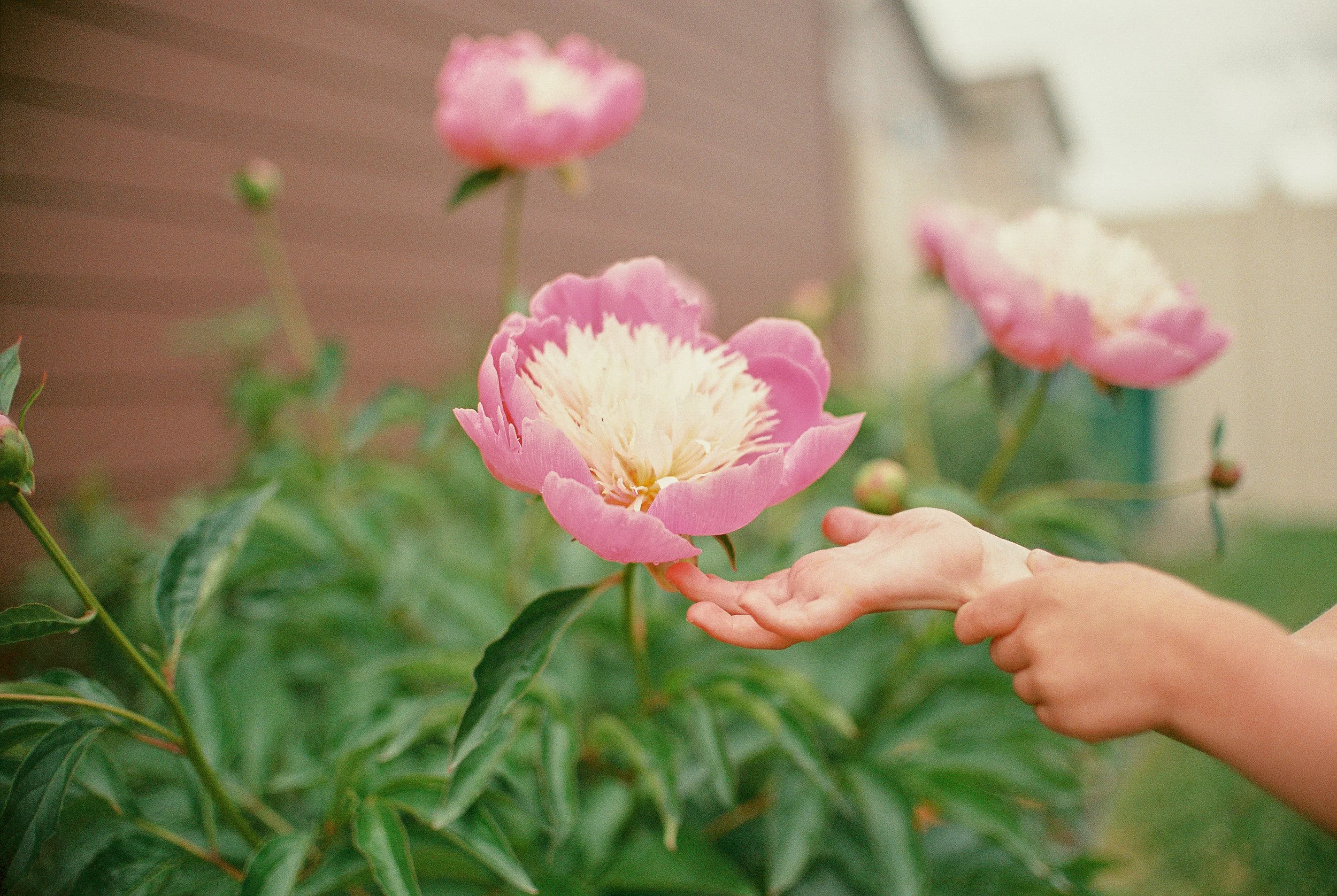 The Art of Noticing with Exhale Member Brandie Johnson