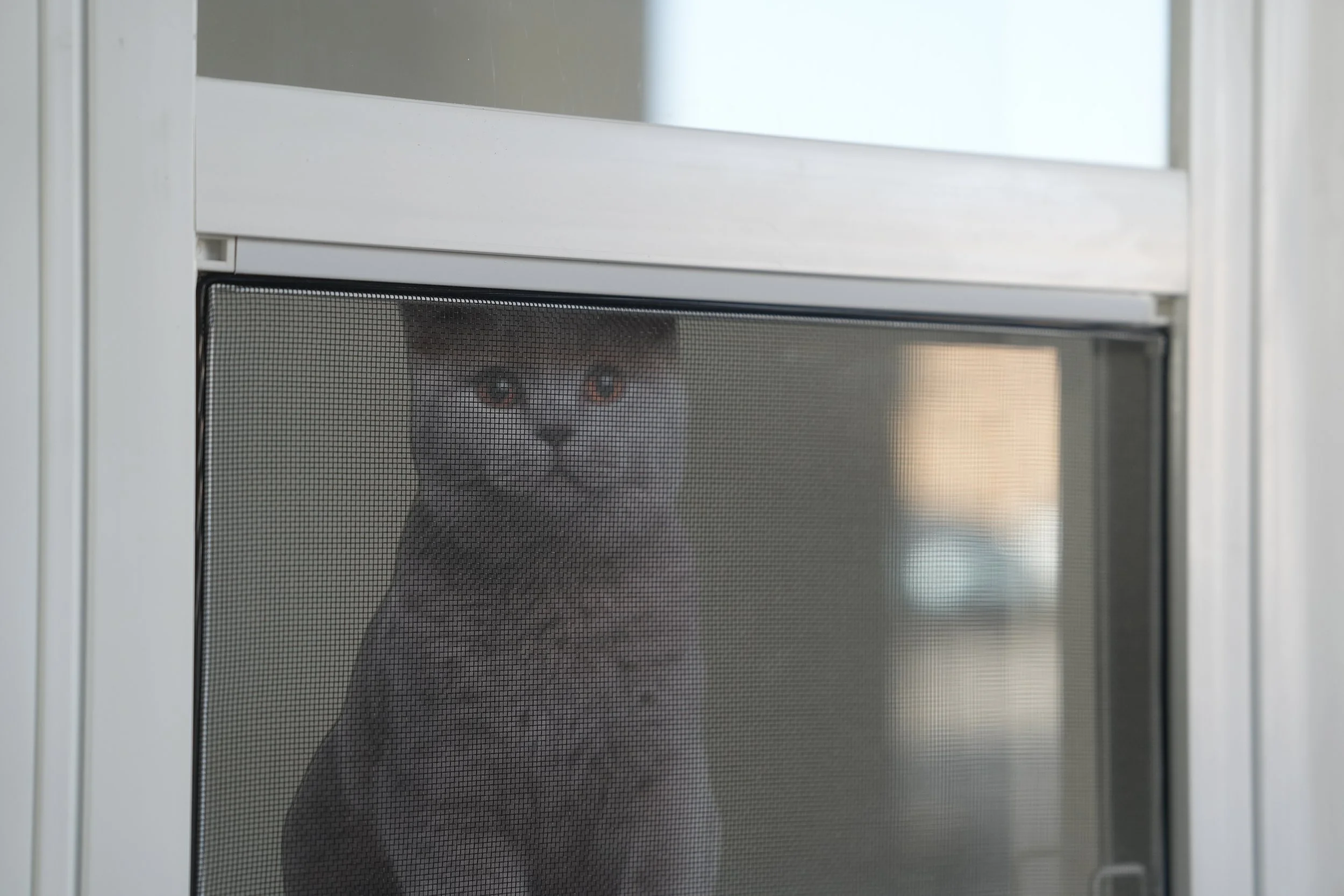 DSC09092.JPG