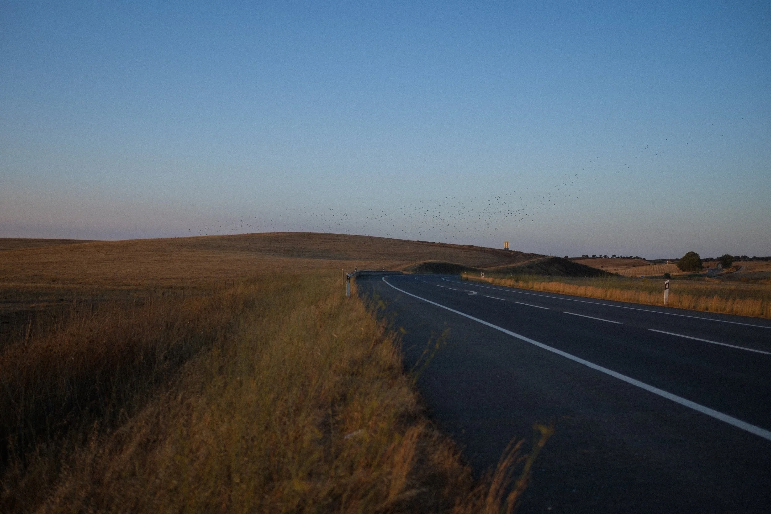 _DSF2885.jpg