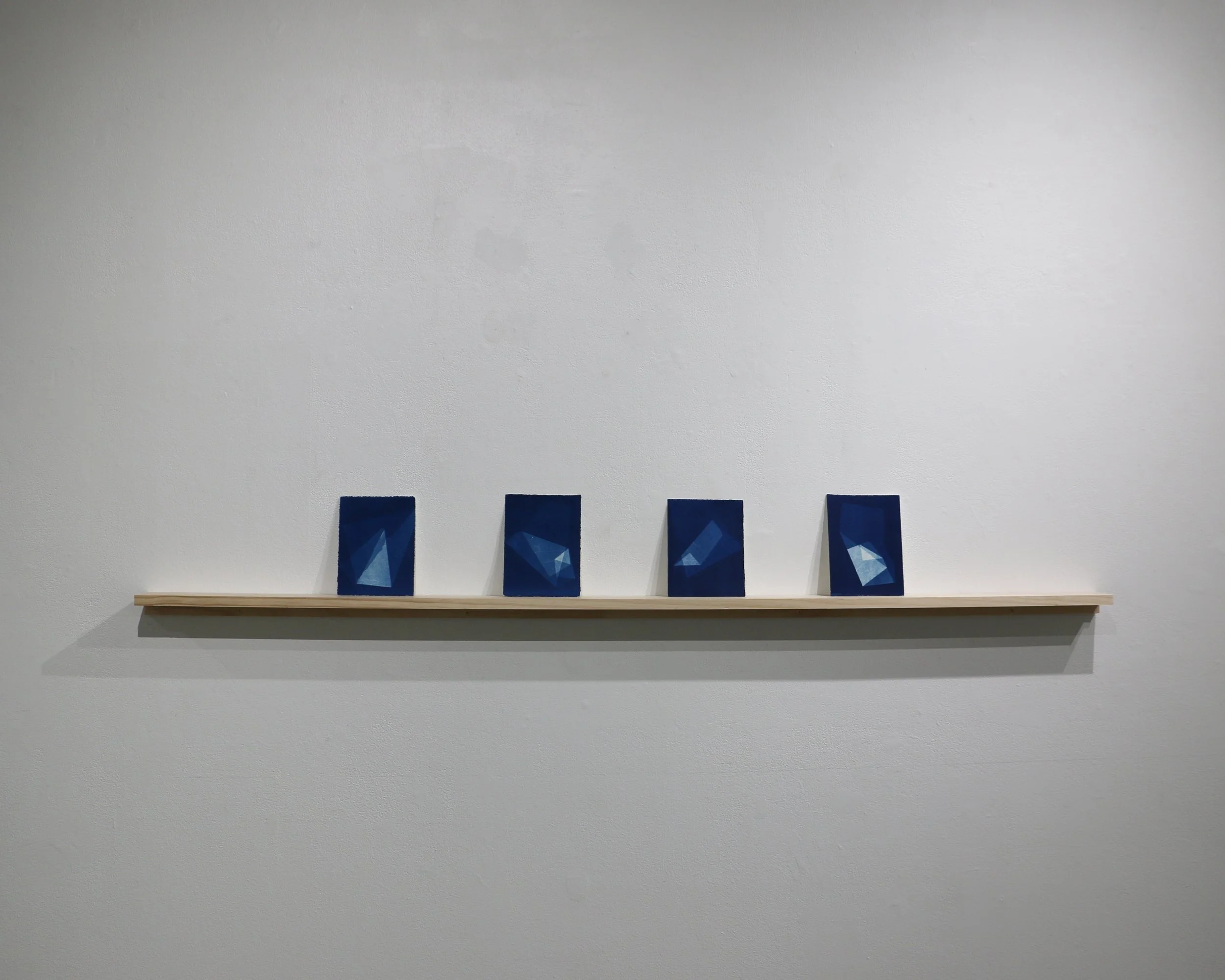 Cyanotypes full - edited.jpg