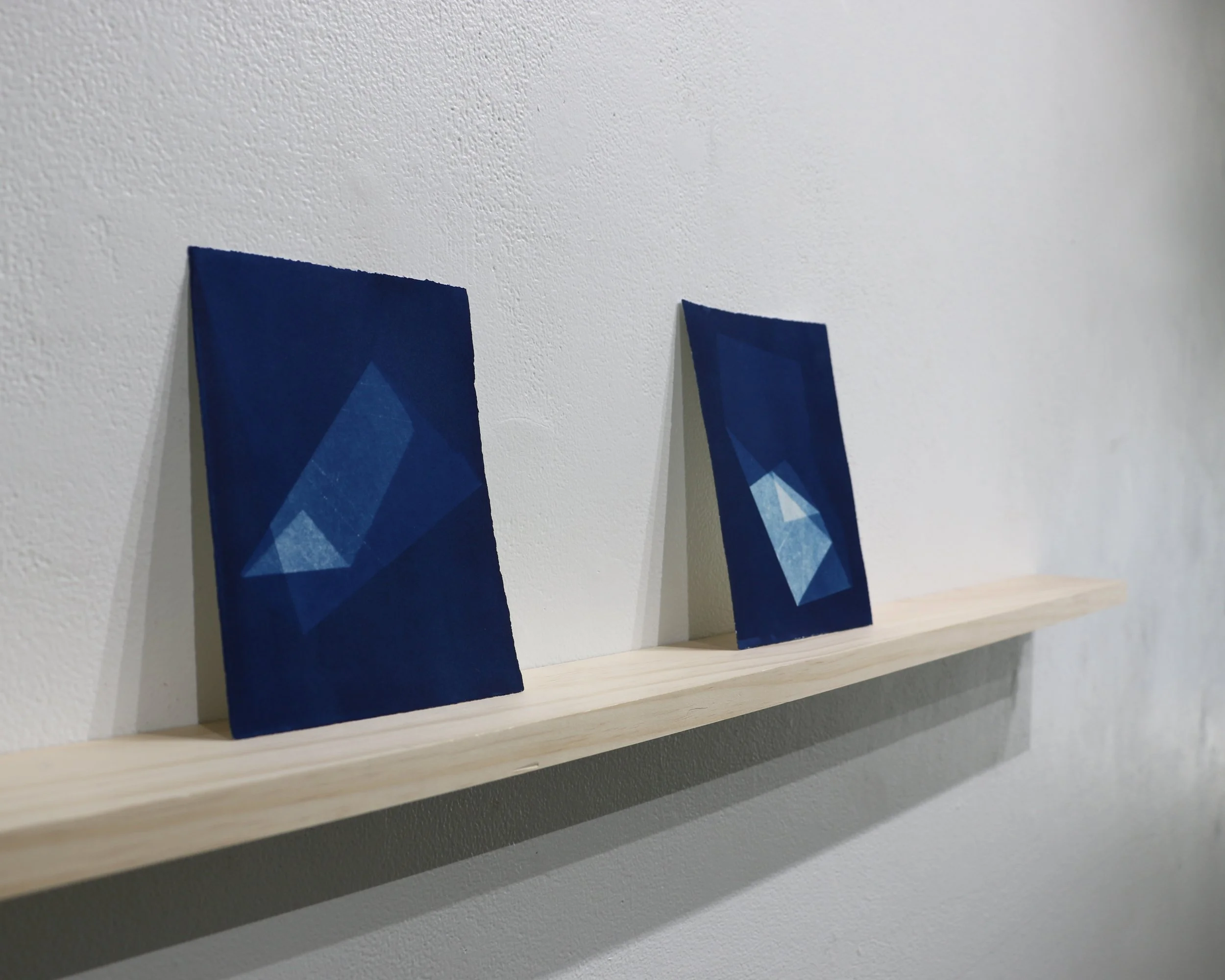 Cyanotypes detail - edited.jpg