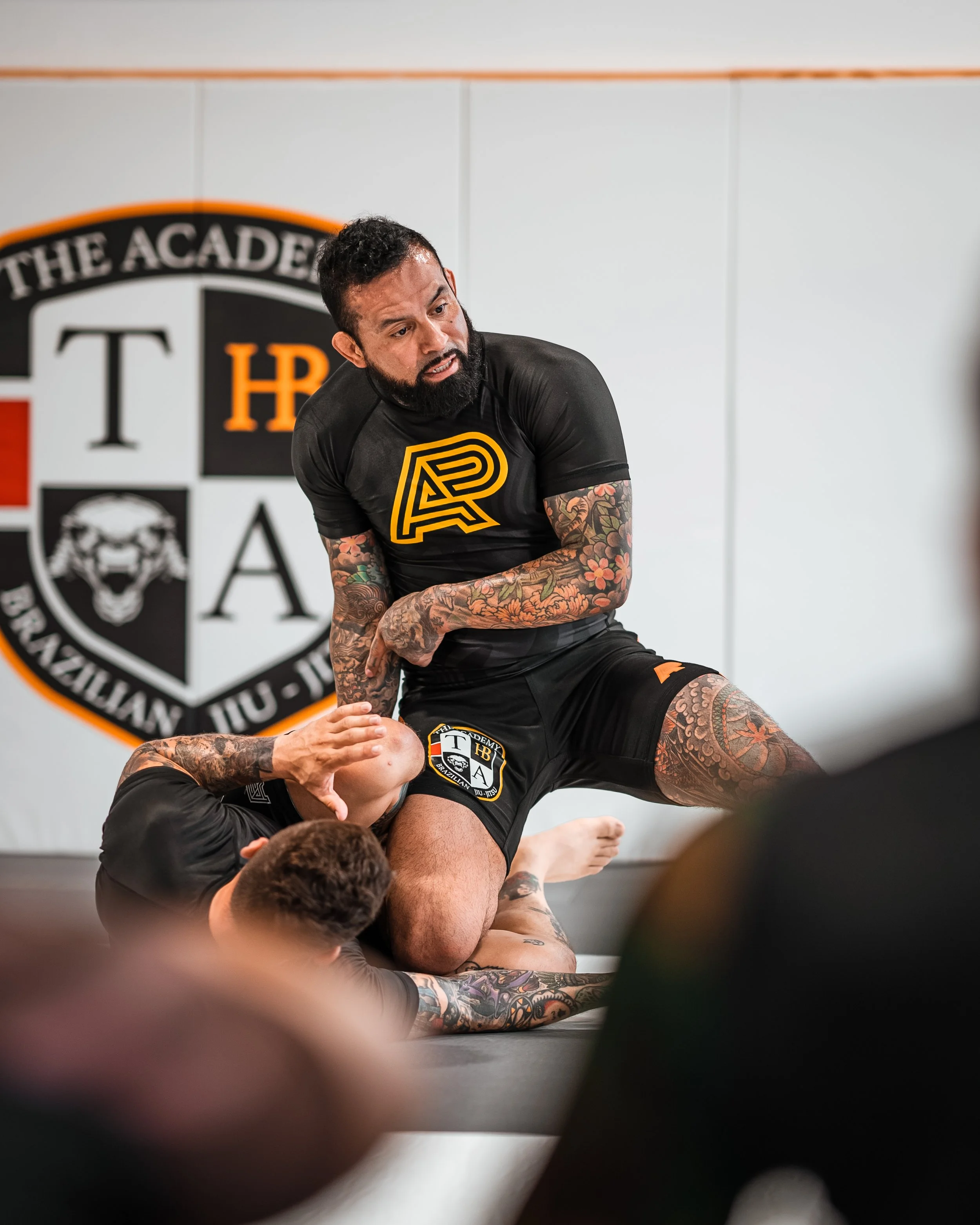 The Academy of Brazilian Jiu Jitsu