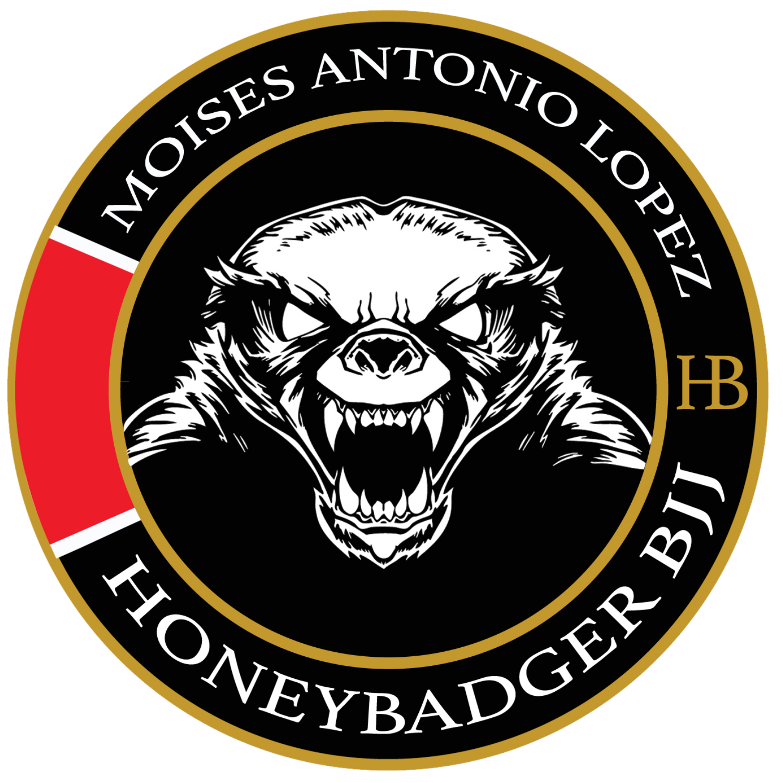 The Academy of Brazilian Jiu Jitsu