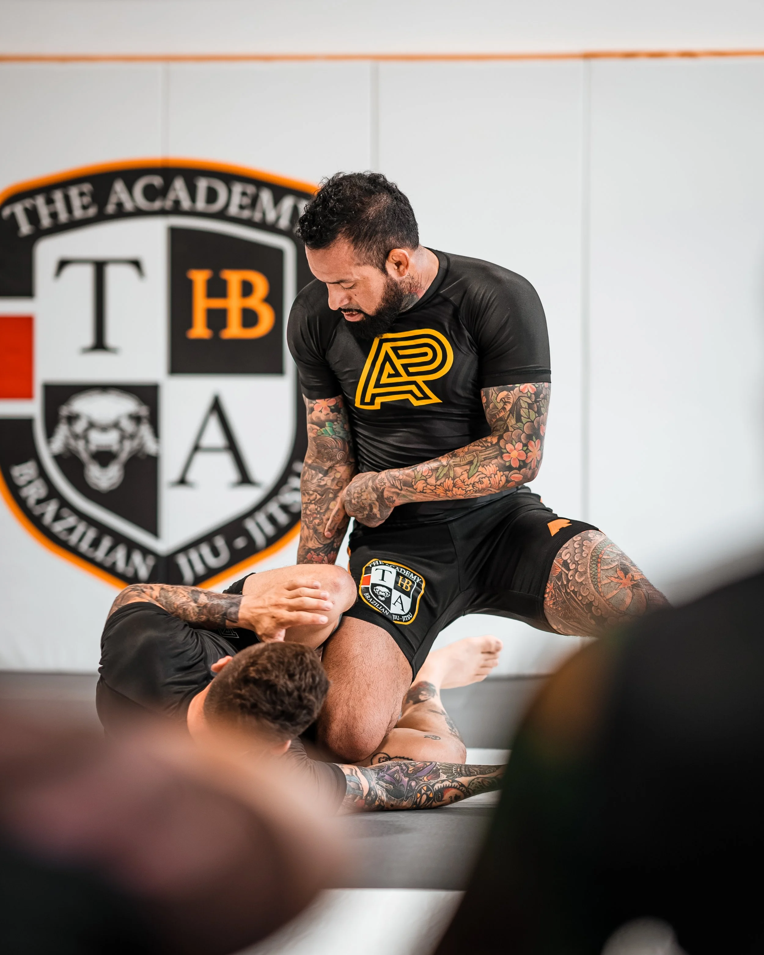 The Academy of Brazilian Jiu Jitsu