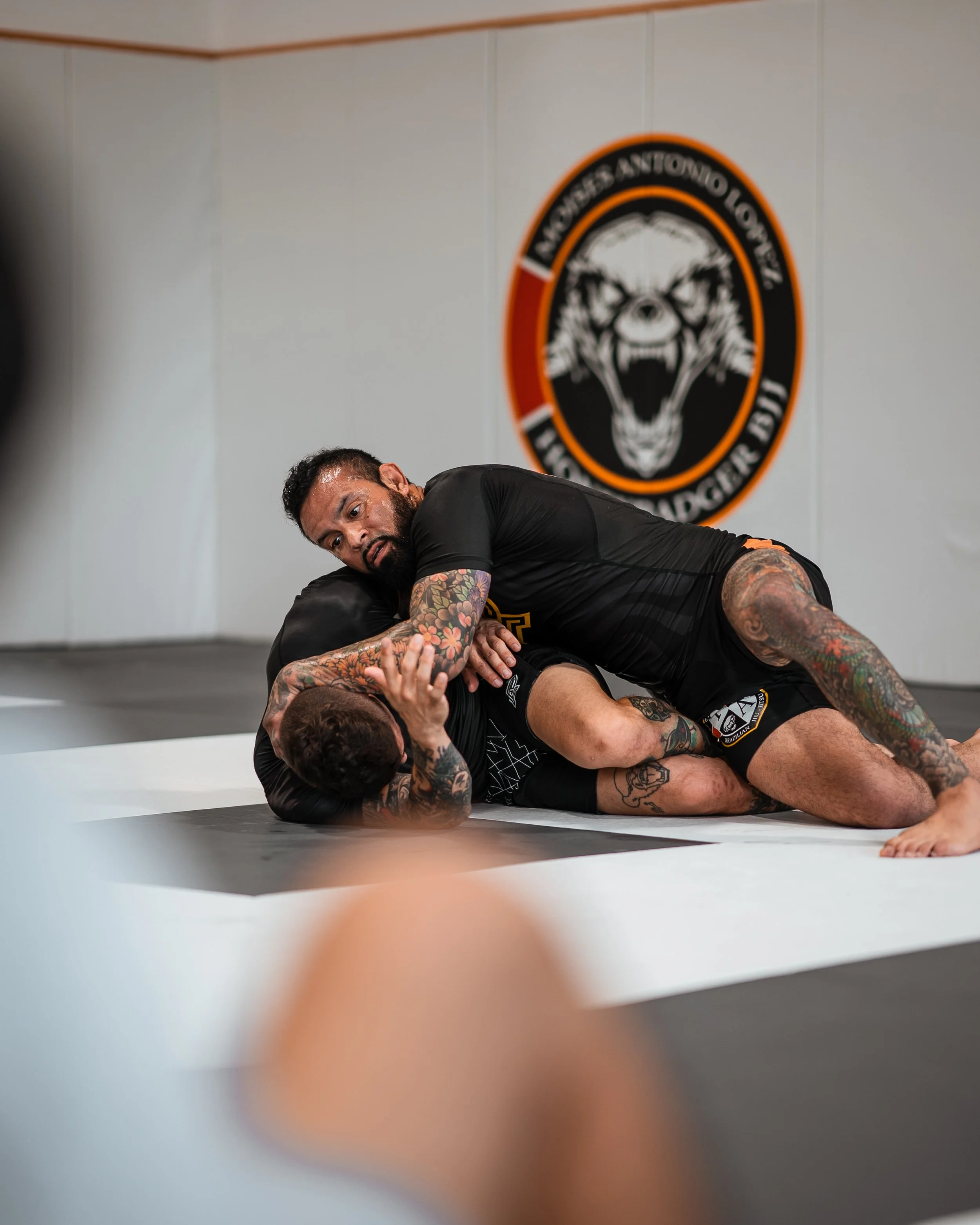 The Academy of Brazilian Jiu Jitsu