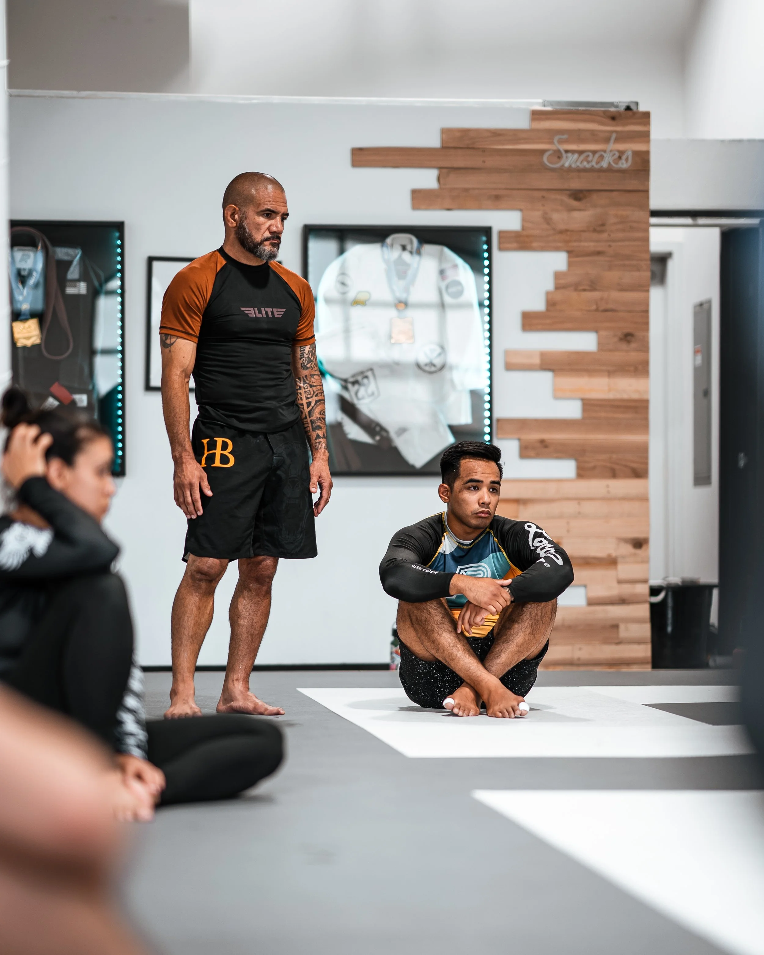 The Academy of Brazilian Jiu Jitsu