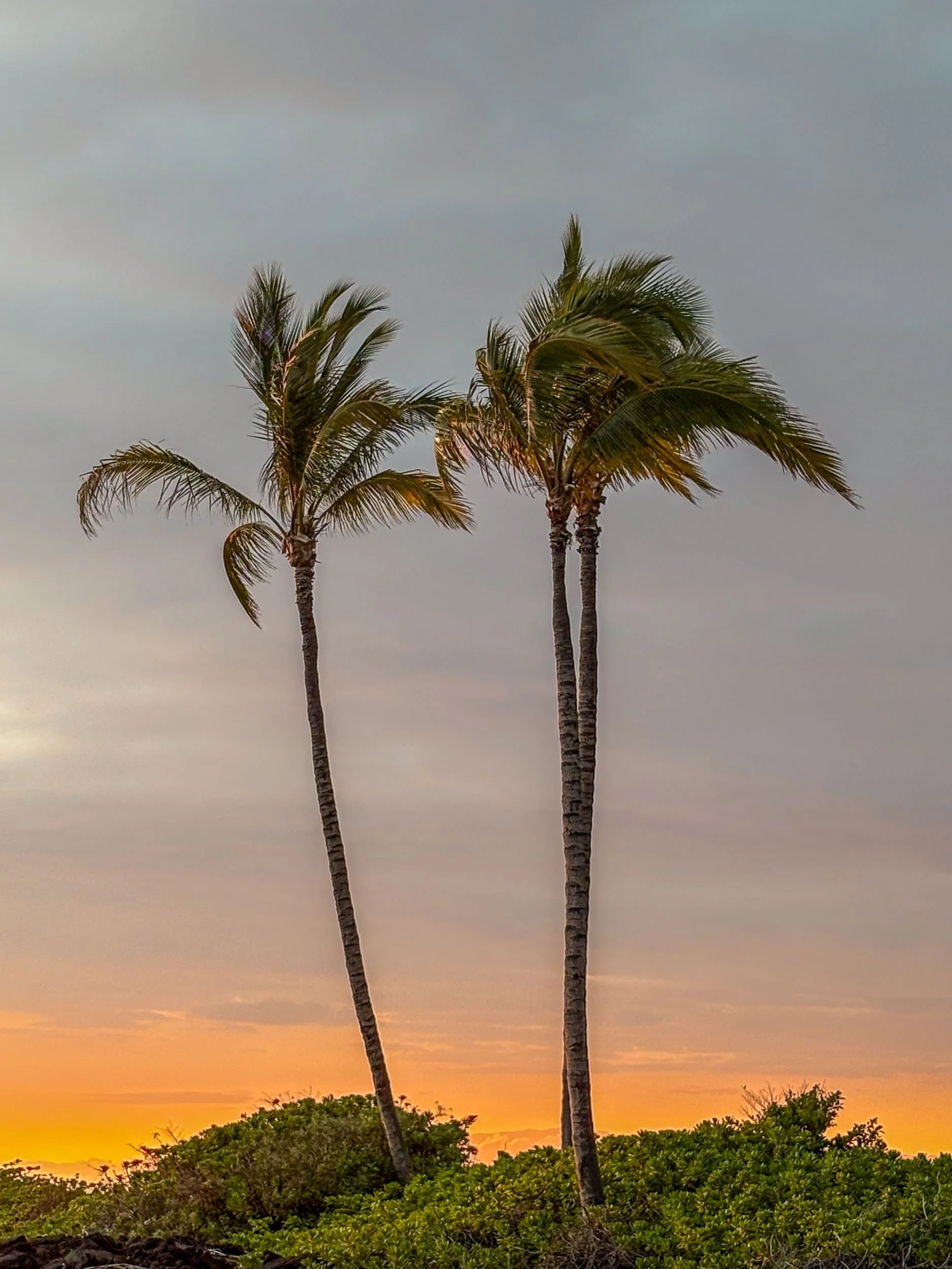 Kona Sunset