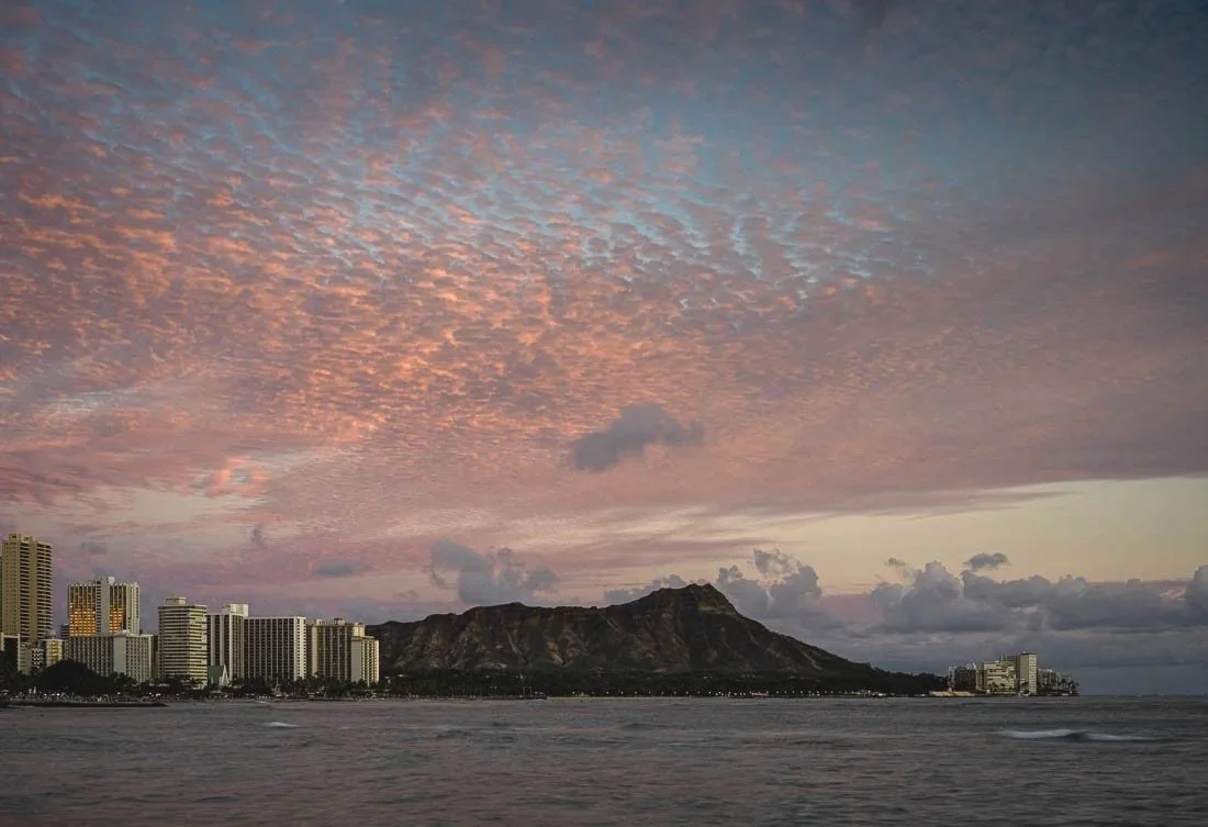 Waikiki Skyline