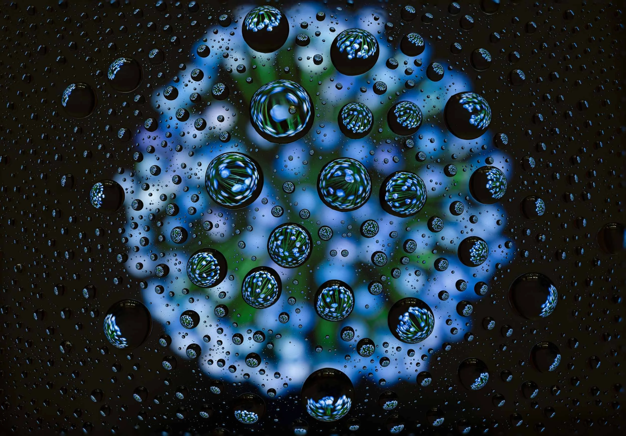 squarespace-macro-19.jpg