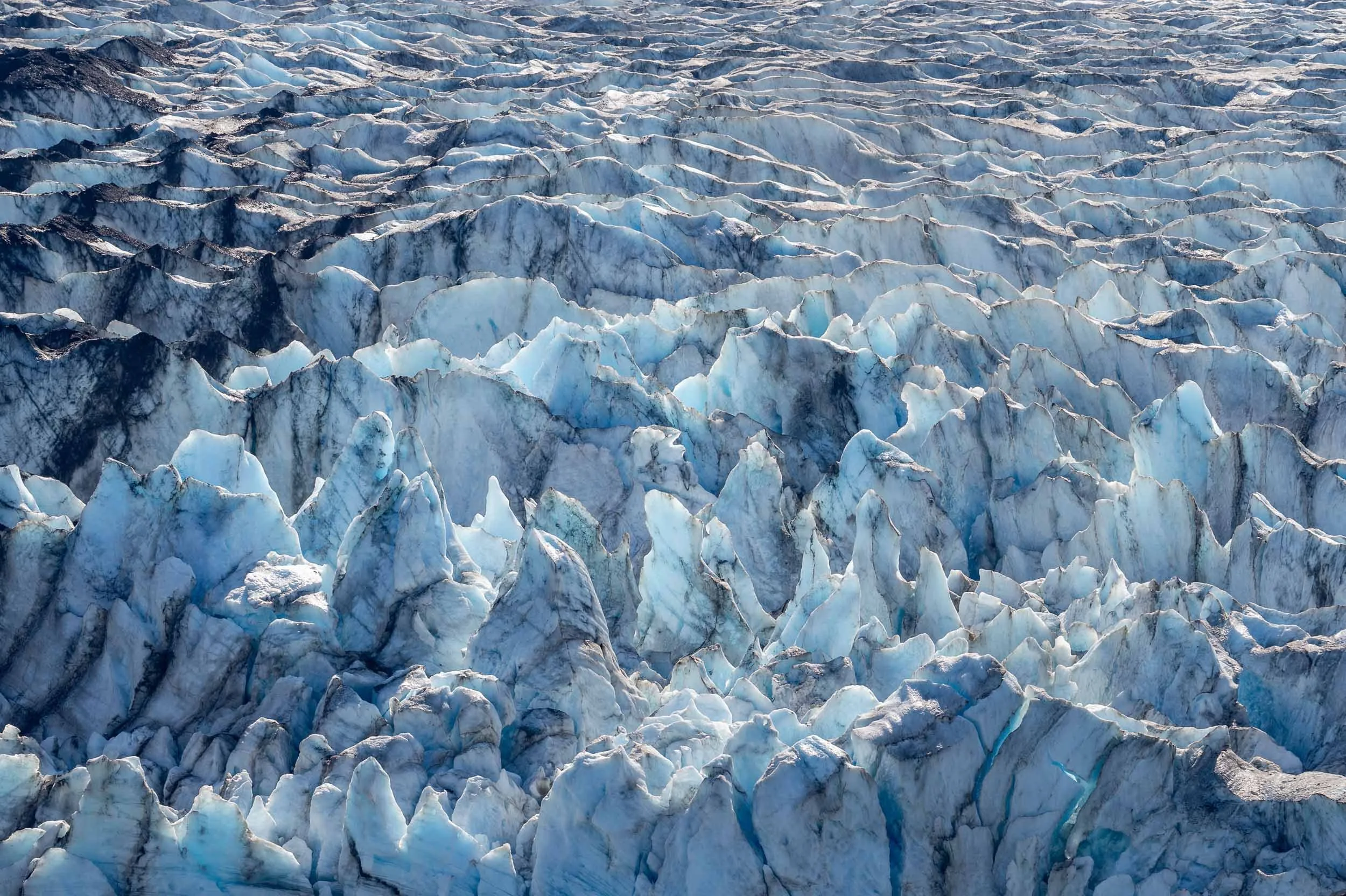 Glacier Bay - Lamplugh Glacier