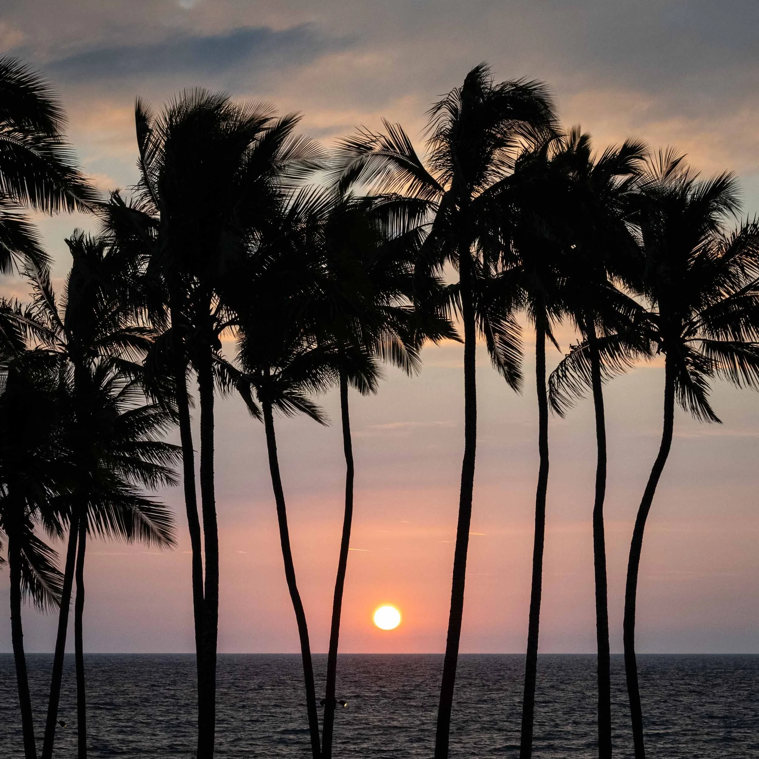 Kona Sunset