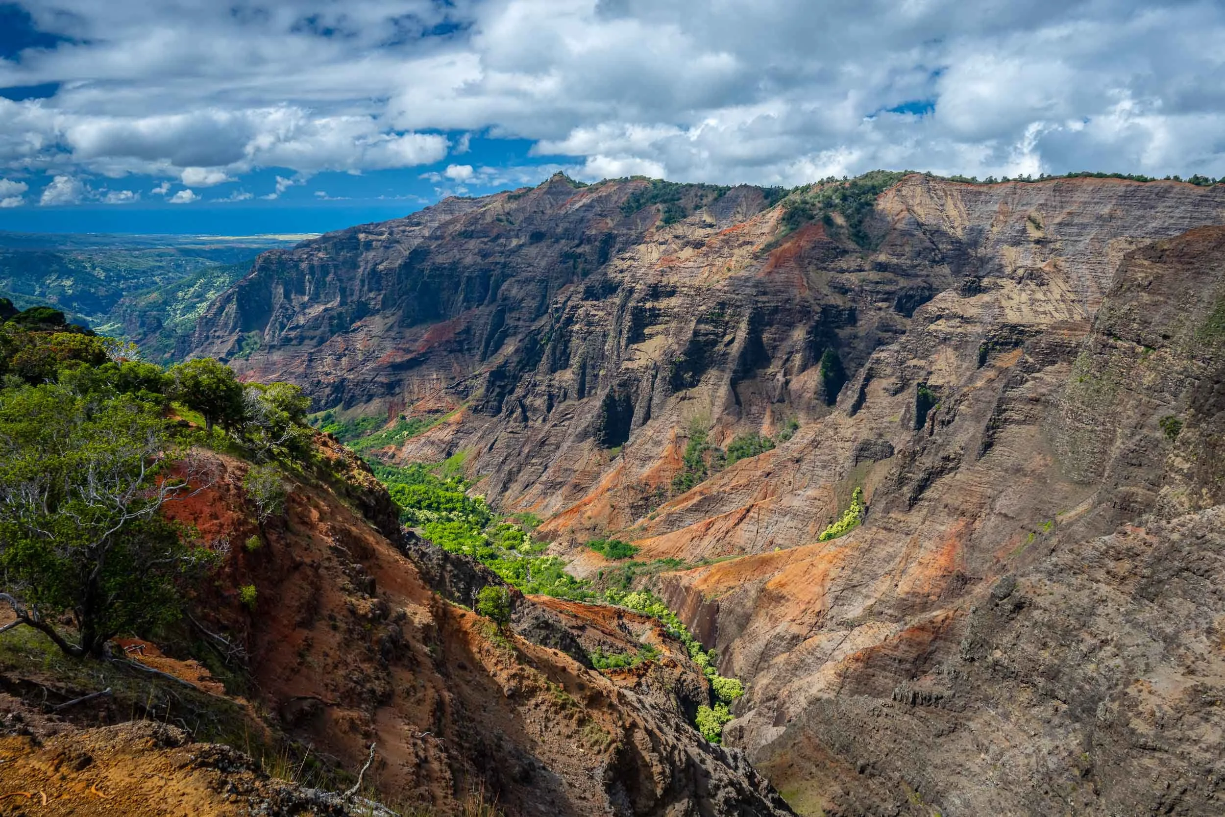 Waimea Canyon