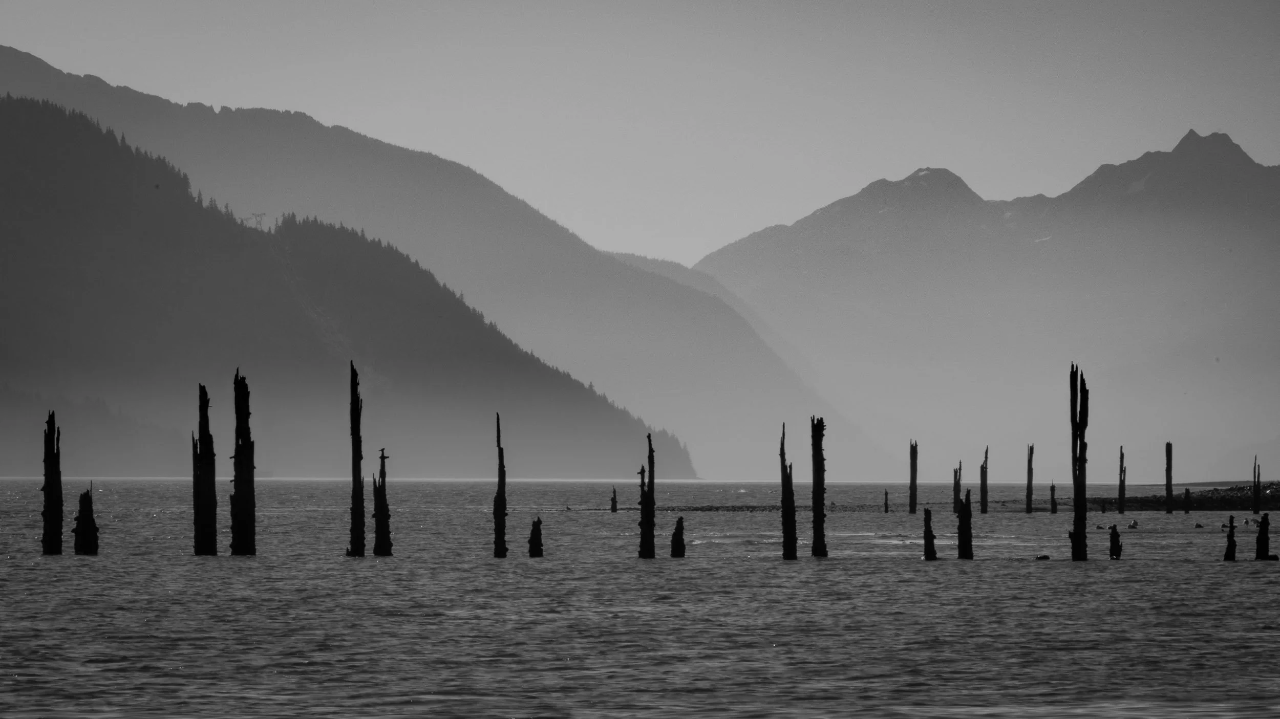 Juneau - Savikko Beach Ruins