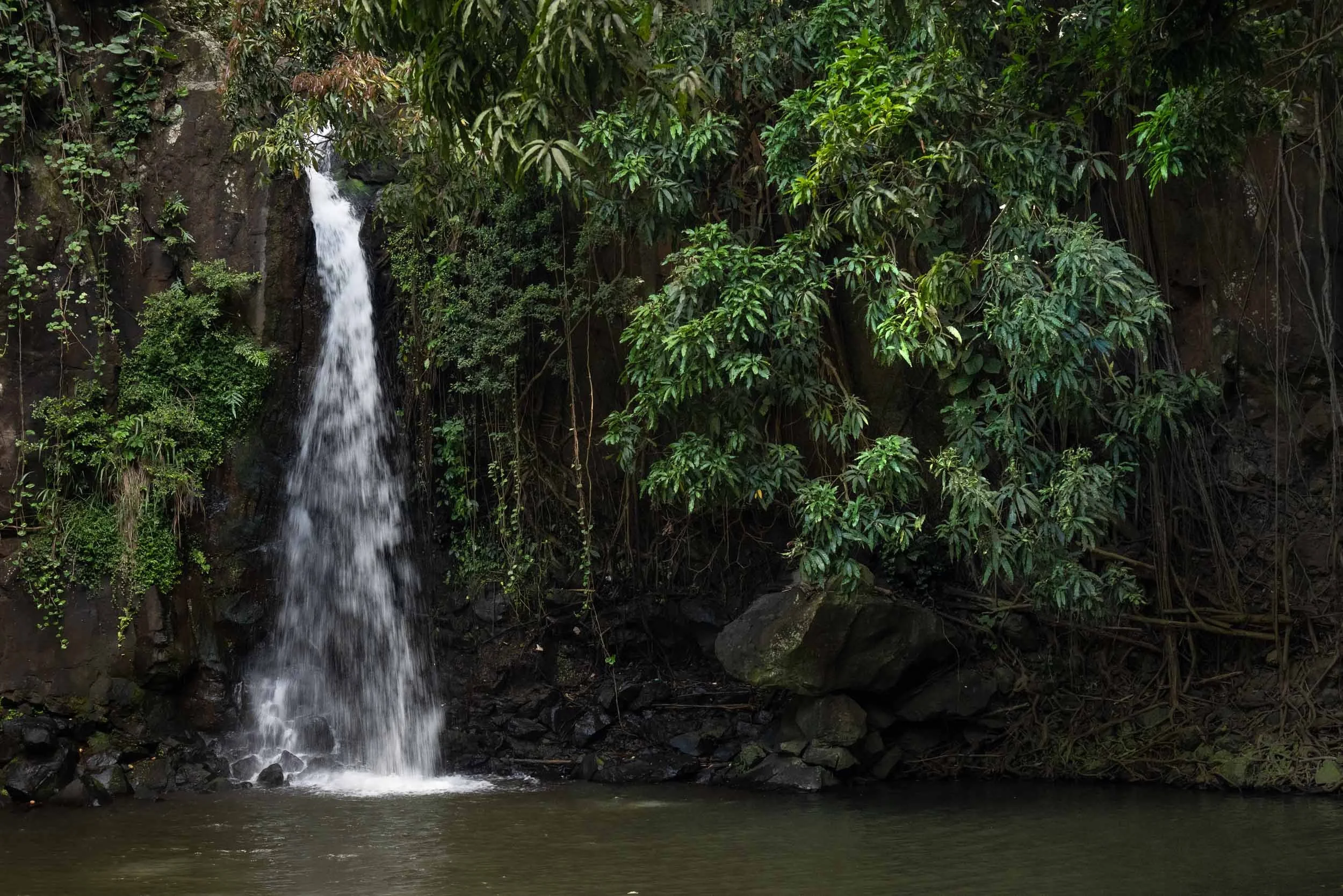 Allerton Gardens Waterfall