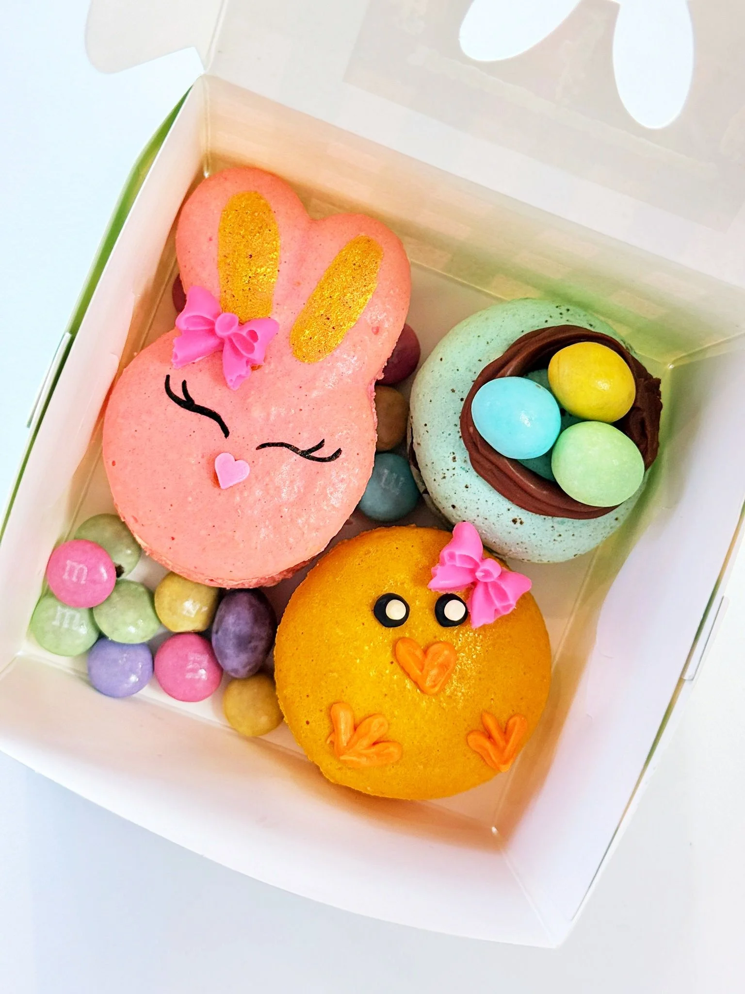 WhatsApp Image 2026-03-23 at 7.17.31 PM.jpeg