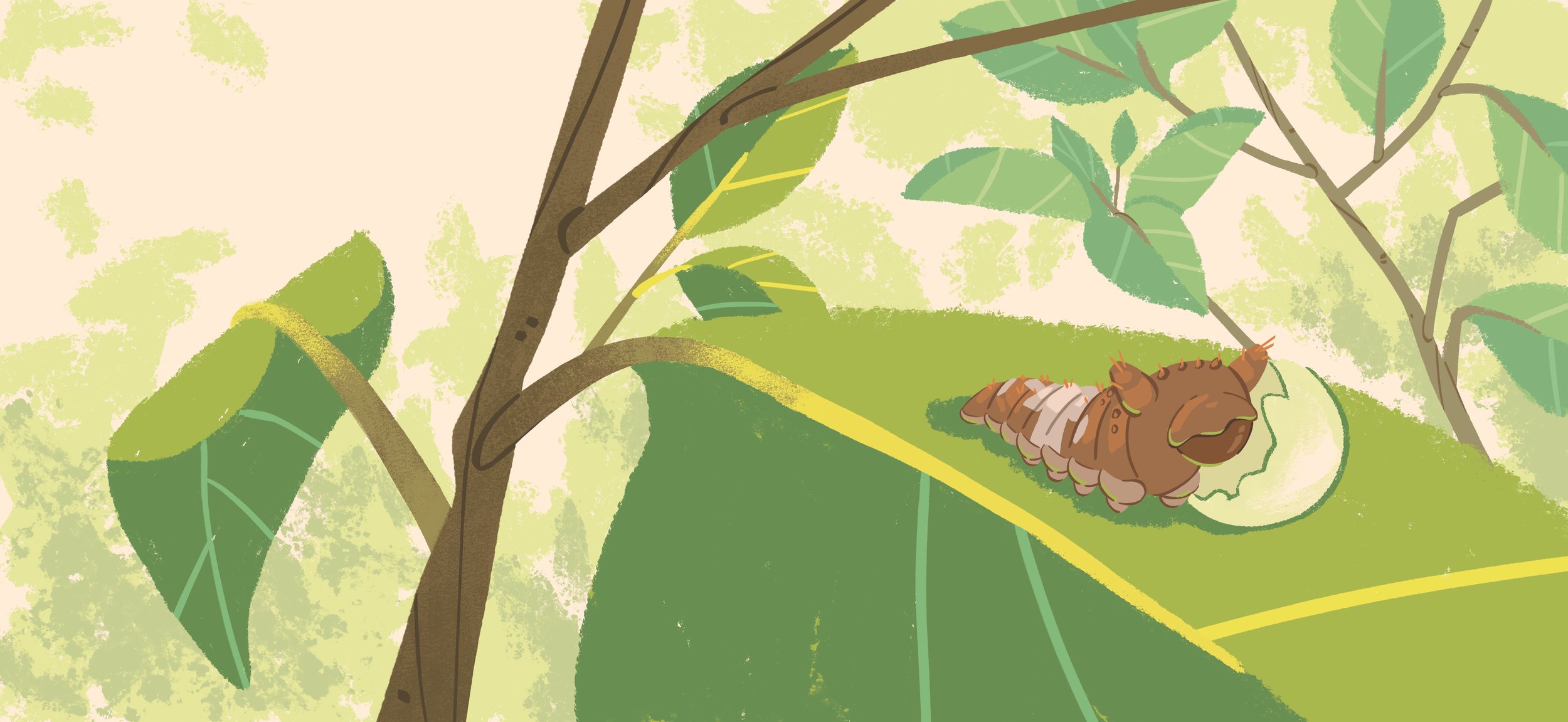 GrowingUp_CaterpillarToButterfly_PG6-7.jpg