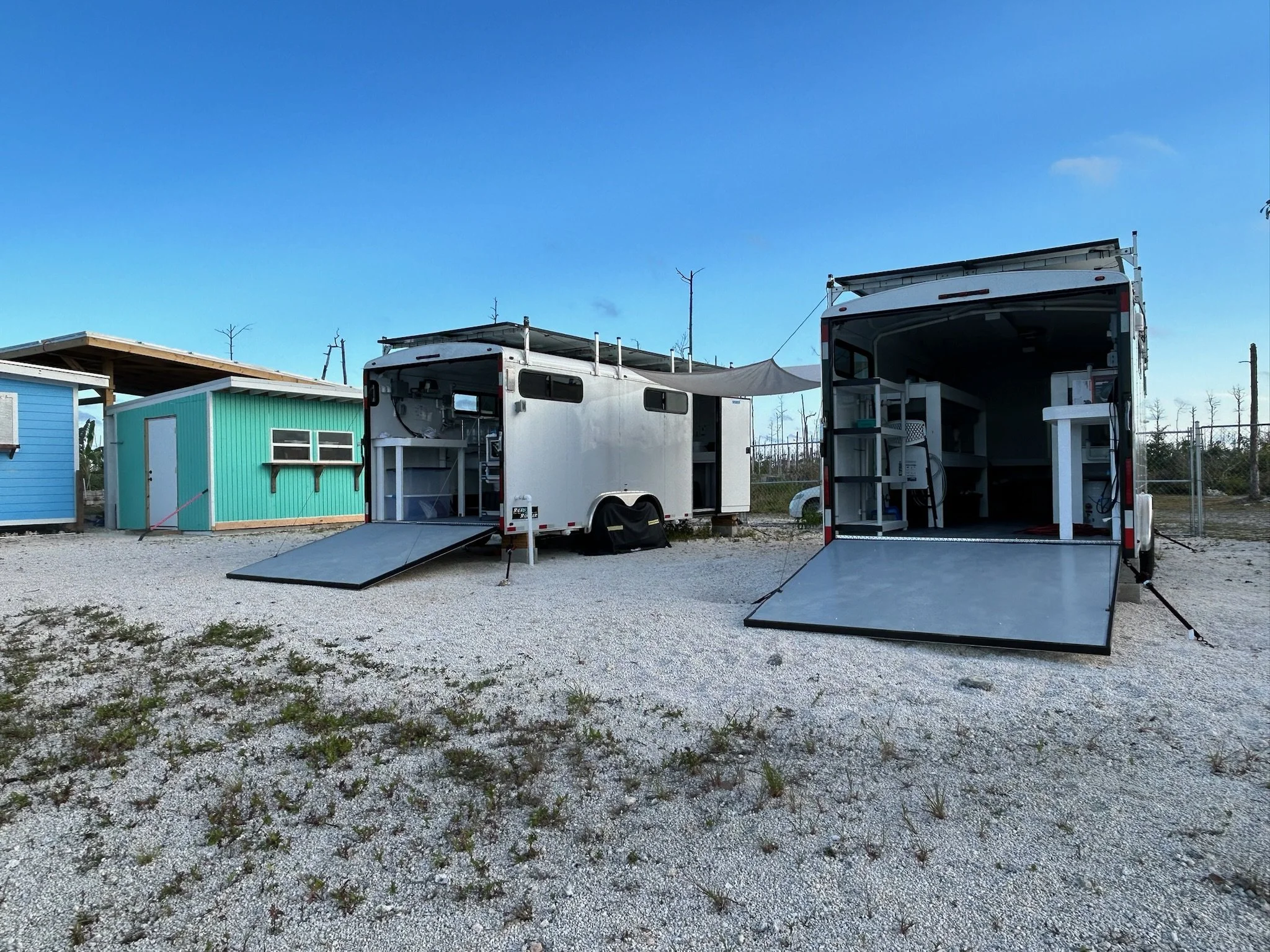   Grand Bahama Queen Conch Mariculture Center  