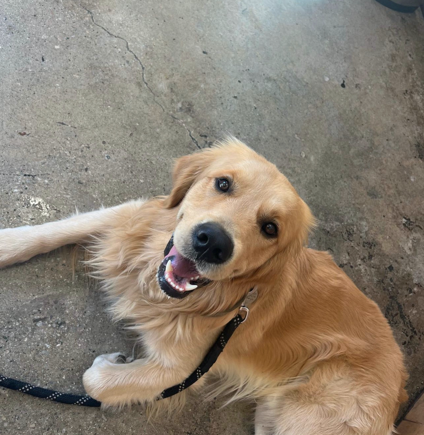 Screen Shot 2024-05-09 at 5.32.26 PM.png