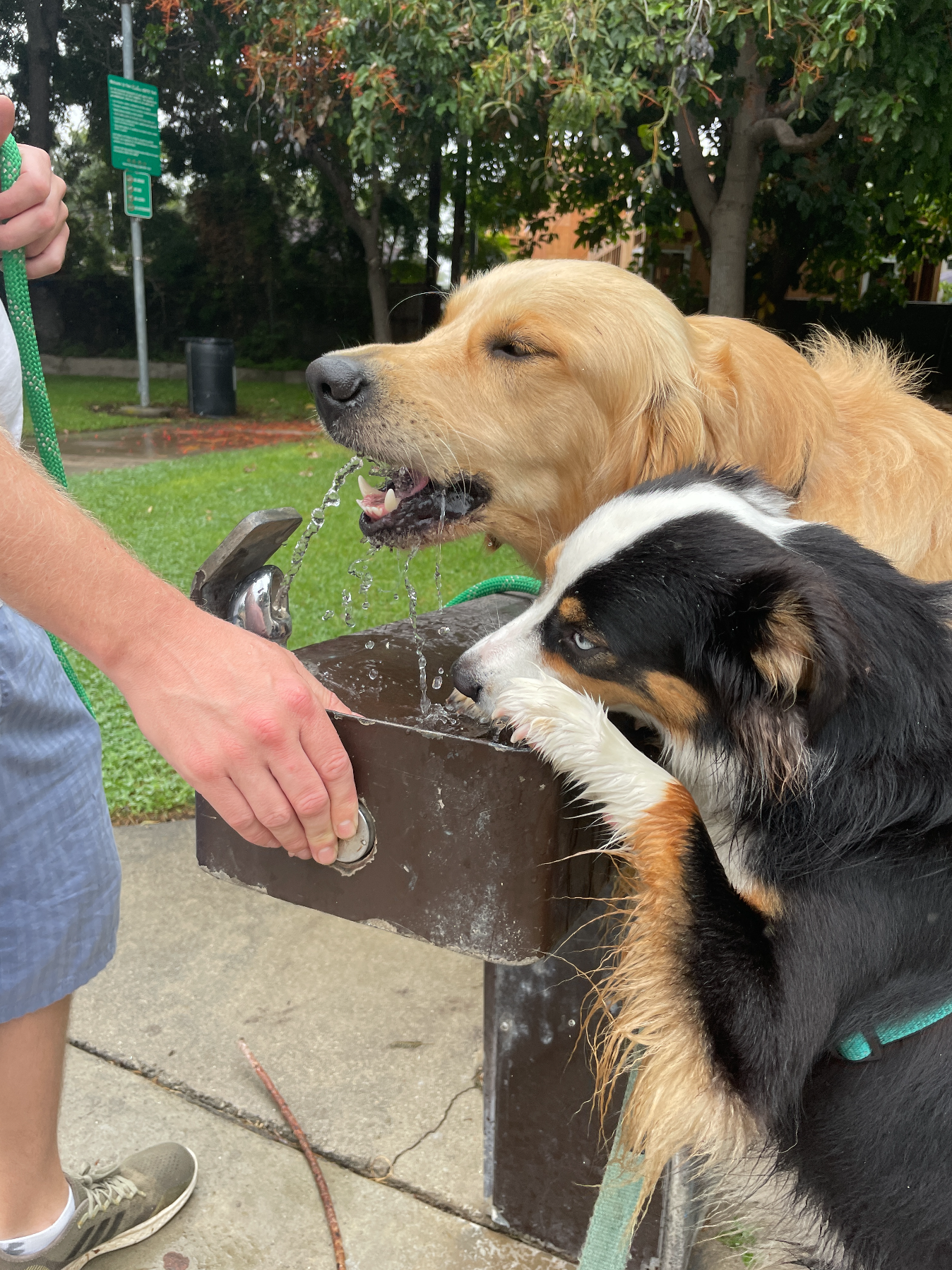 Screen Shot 2024-05-09 at 5.15.59 PM.png