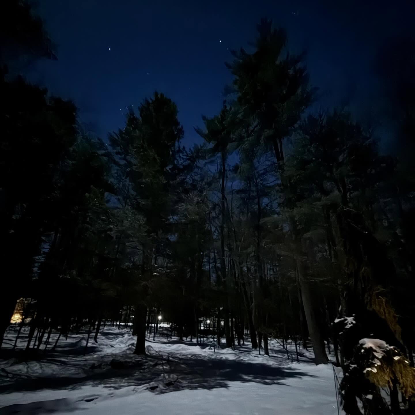 2026 so far&hellip;.
A lot of snow, some good times with good people, a few date nights, three dollars in residuals, time spent in two of my favorite place and the most handsome dog. 

#2026 #january #february #winter #photodump