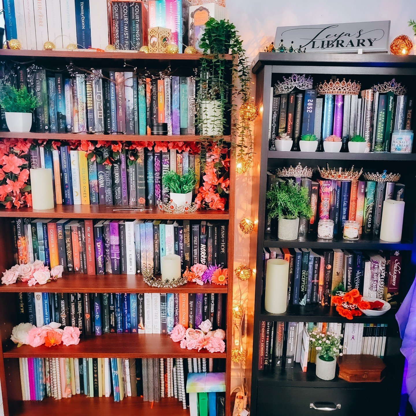 ✨📚 𝑺𝒖𝒏𝒅𝒂𝒚 𝑺𝒉𝒆𝒍𝒇𝒊𝒆 📚✨

How do you decorate your book shelves? Do you display all your bookish merch? Or do you like your shelves sleek and simple?

𝘓𝘦𝘵 𝘮𝘦 𝘬𝘯𝘰𝘸 𝘪𝘯 𝘵𝘩𝘦 𝘤𝘰𝘮𝘮𝘦𝘯𝘵𝘴 𝘣𝘦𝘭𝘰𝘸.

-----

🏷️: #sundayshelfi