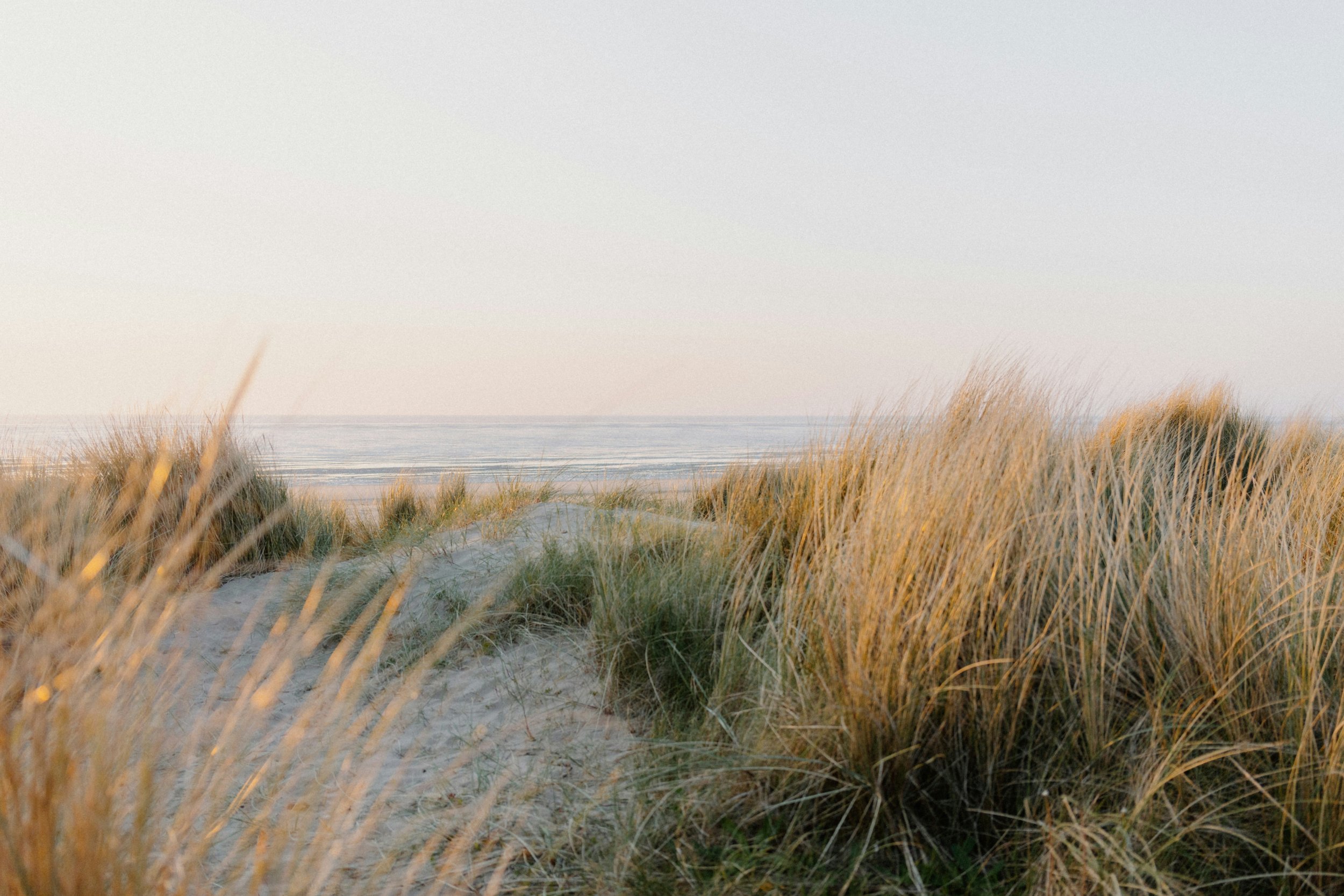 Sandy beach with tall grasses and ocean waves in the distance under a clear sky.