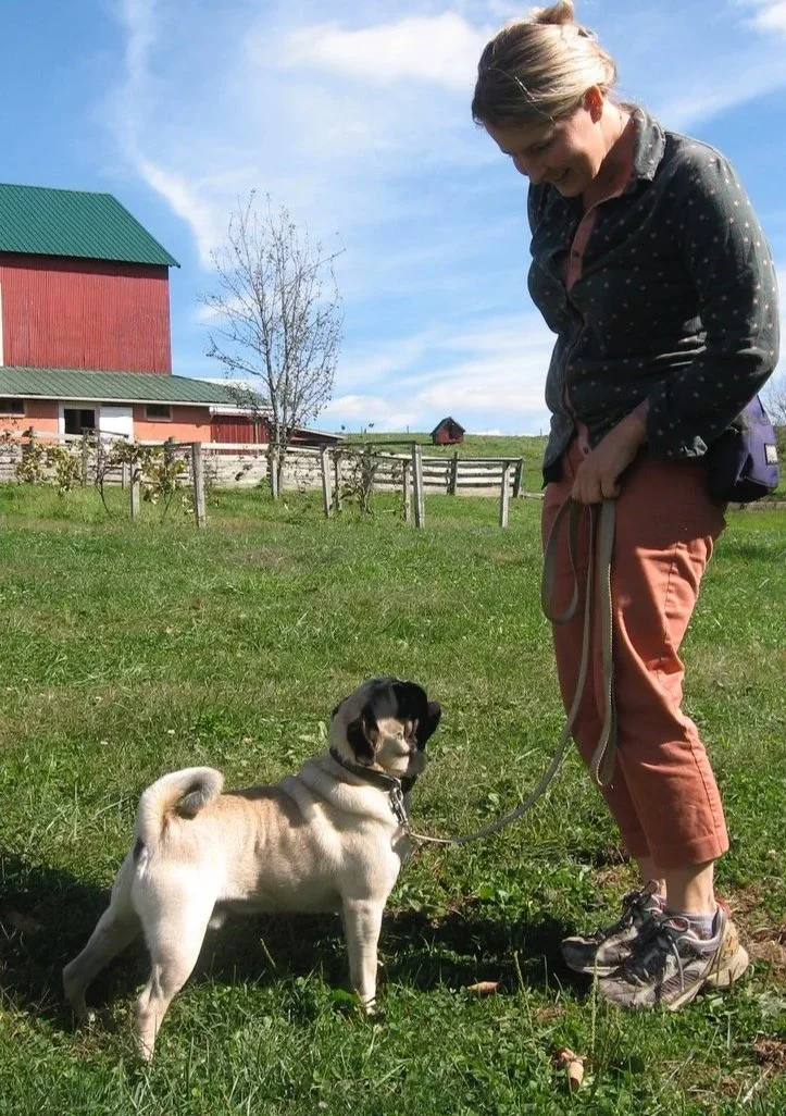 My parent's Pug Eddie on the family farmstead, Charm OH 2012