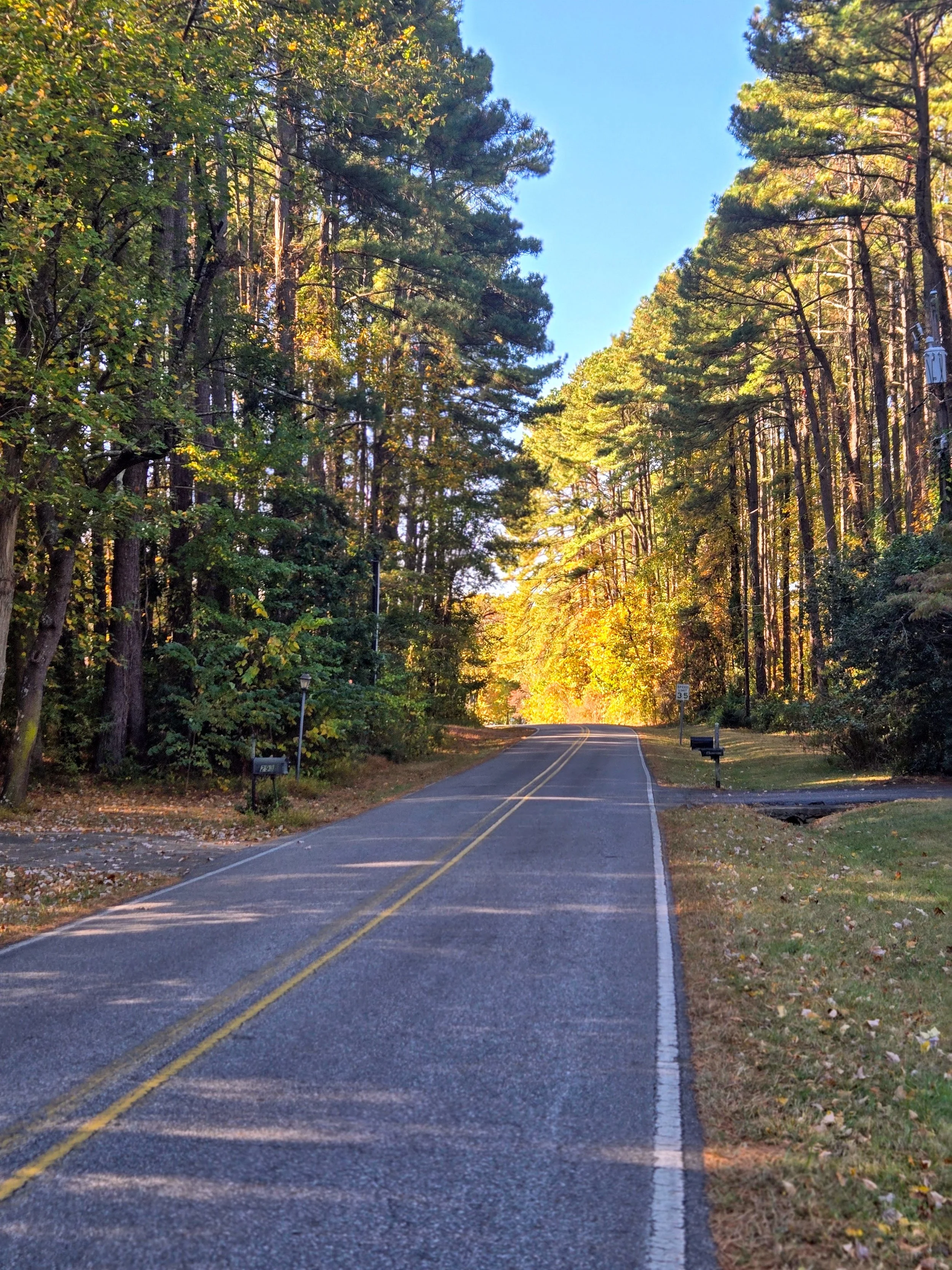 Pause > Overwhelm