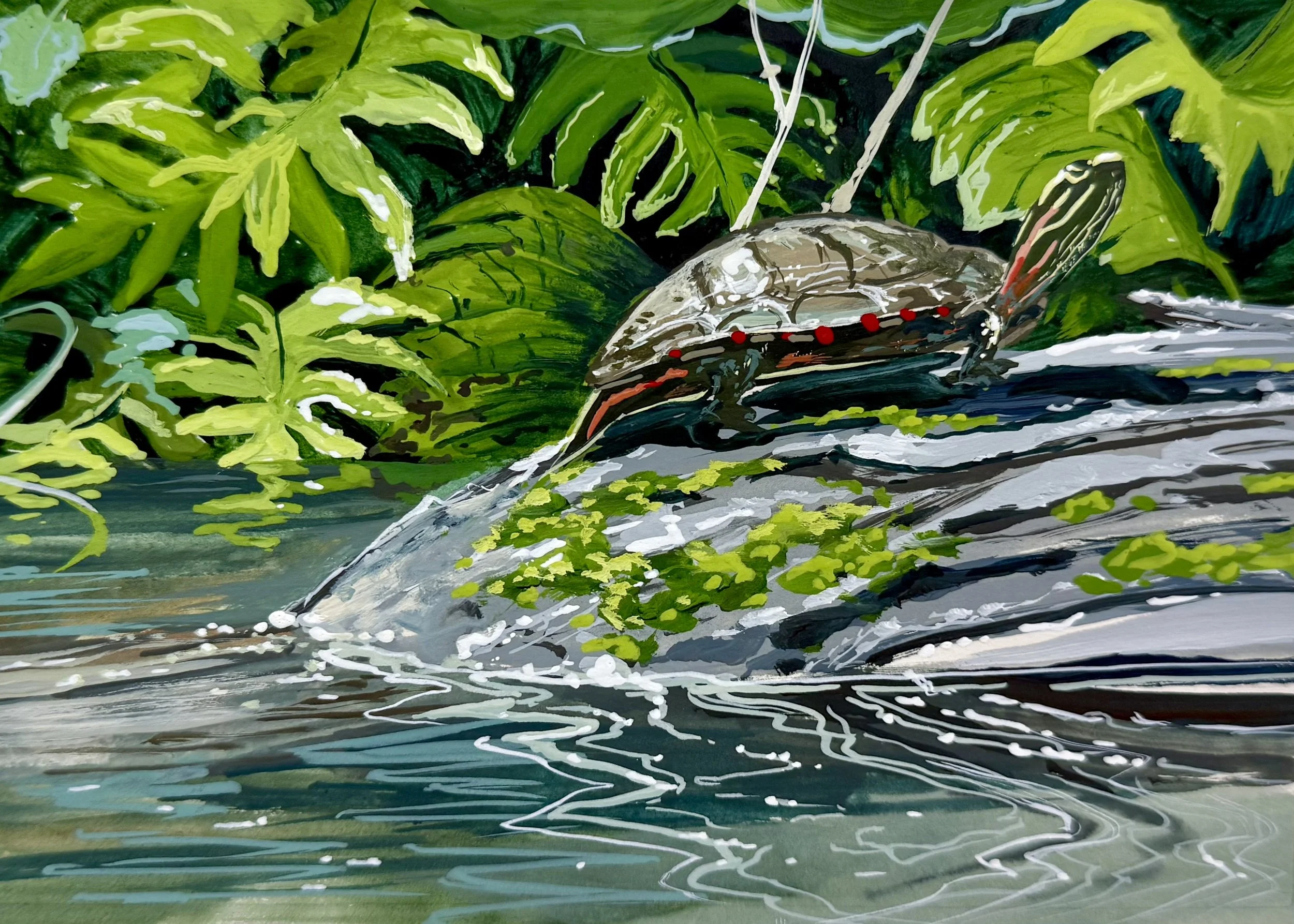 Painted Turtle - Grayhaven Motel.jpg
