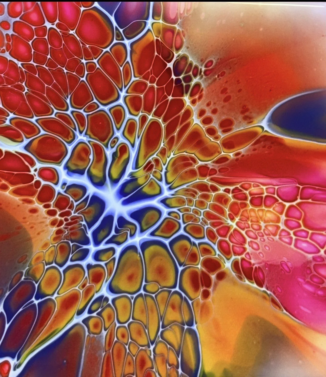 IMG_1829 - Gallery Space.jpeg