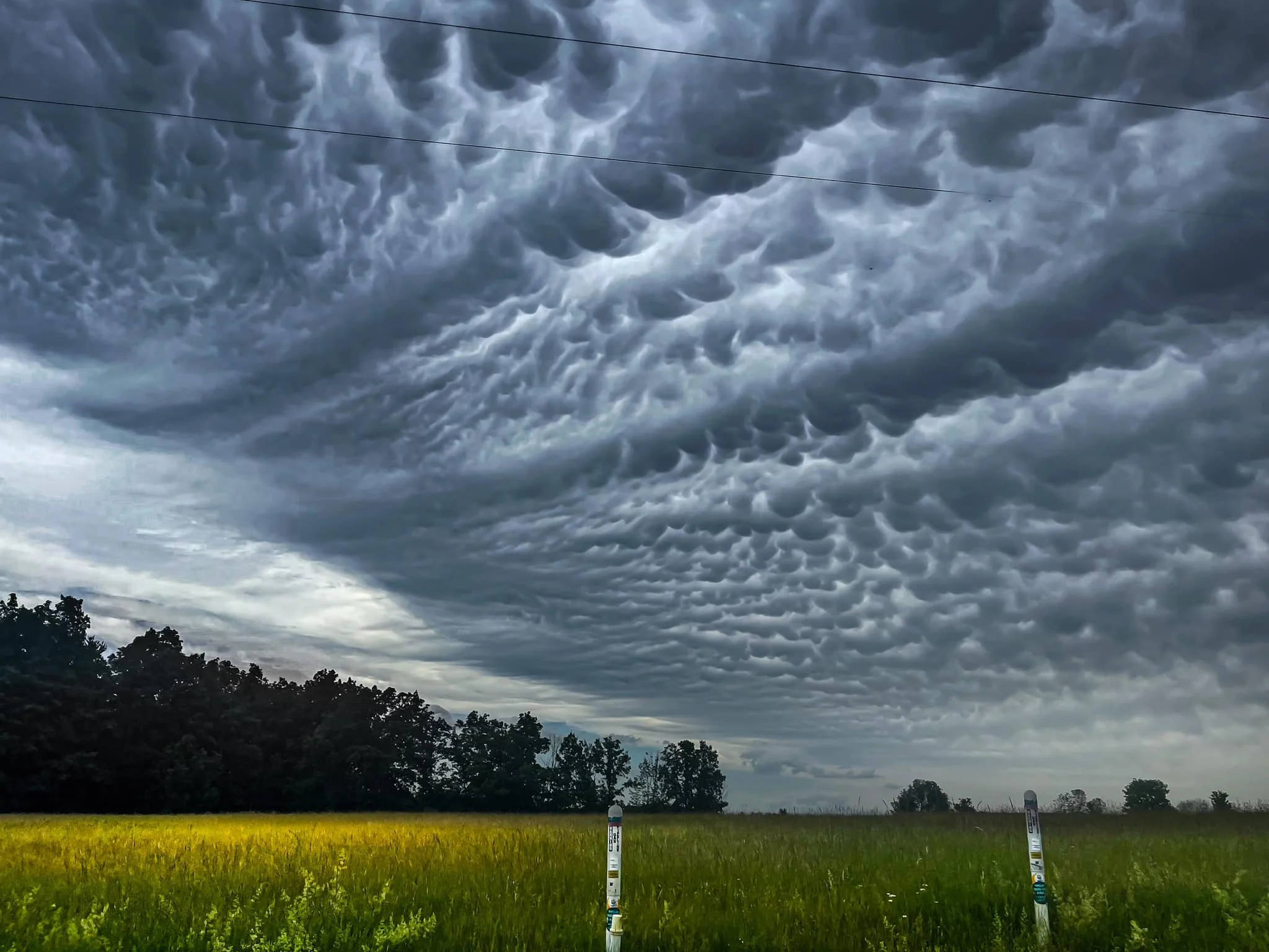 Mammatus Clouds - Coleen Foley.jpg
