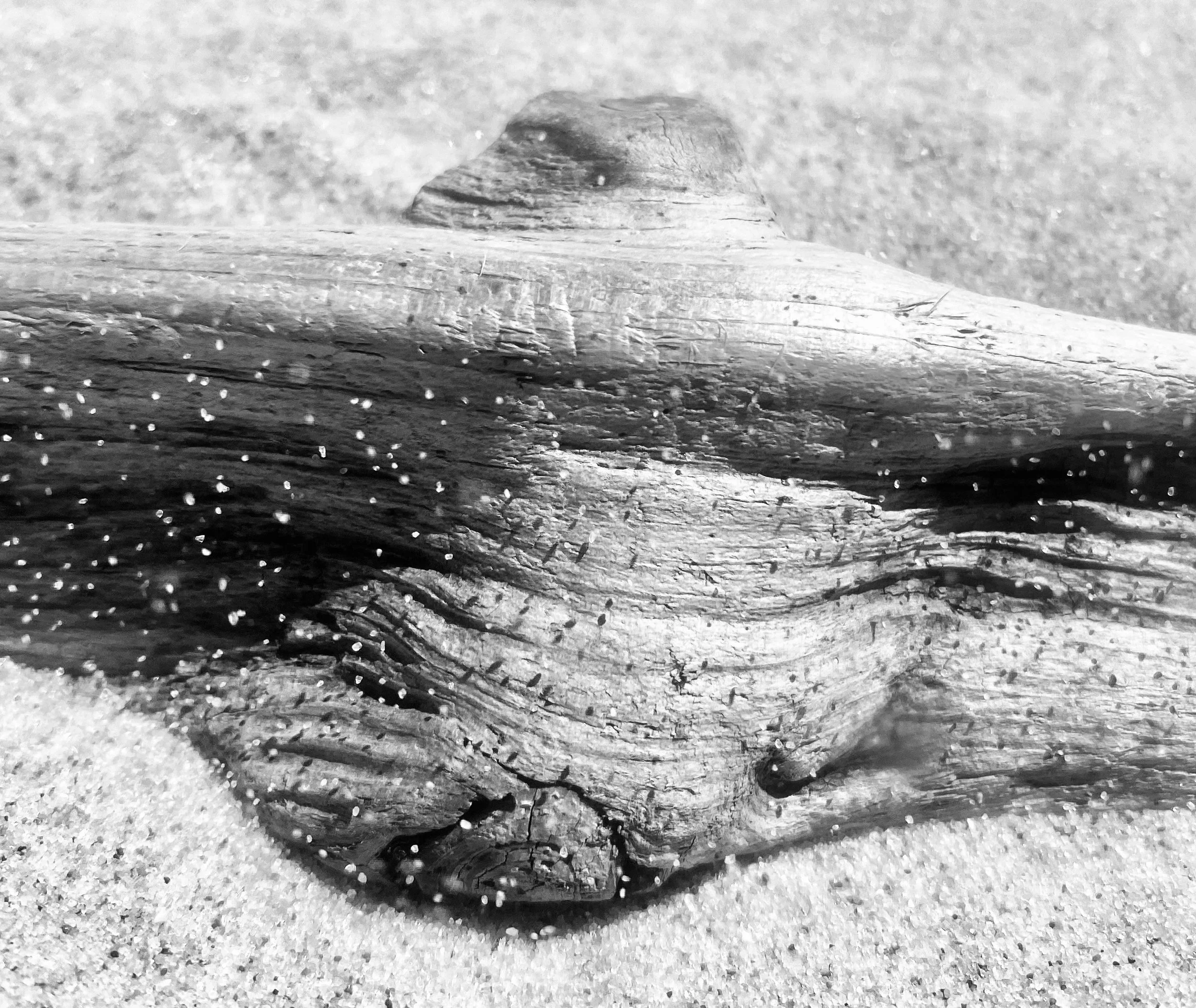 Grayhaven Motel Gallery