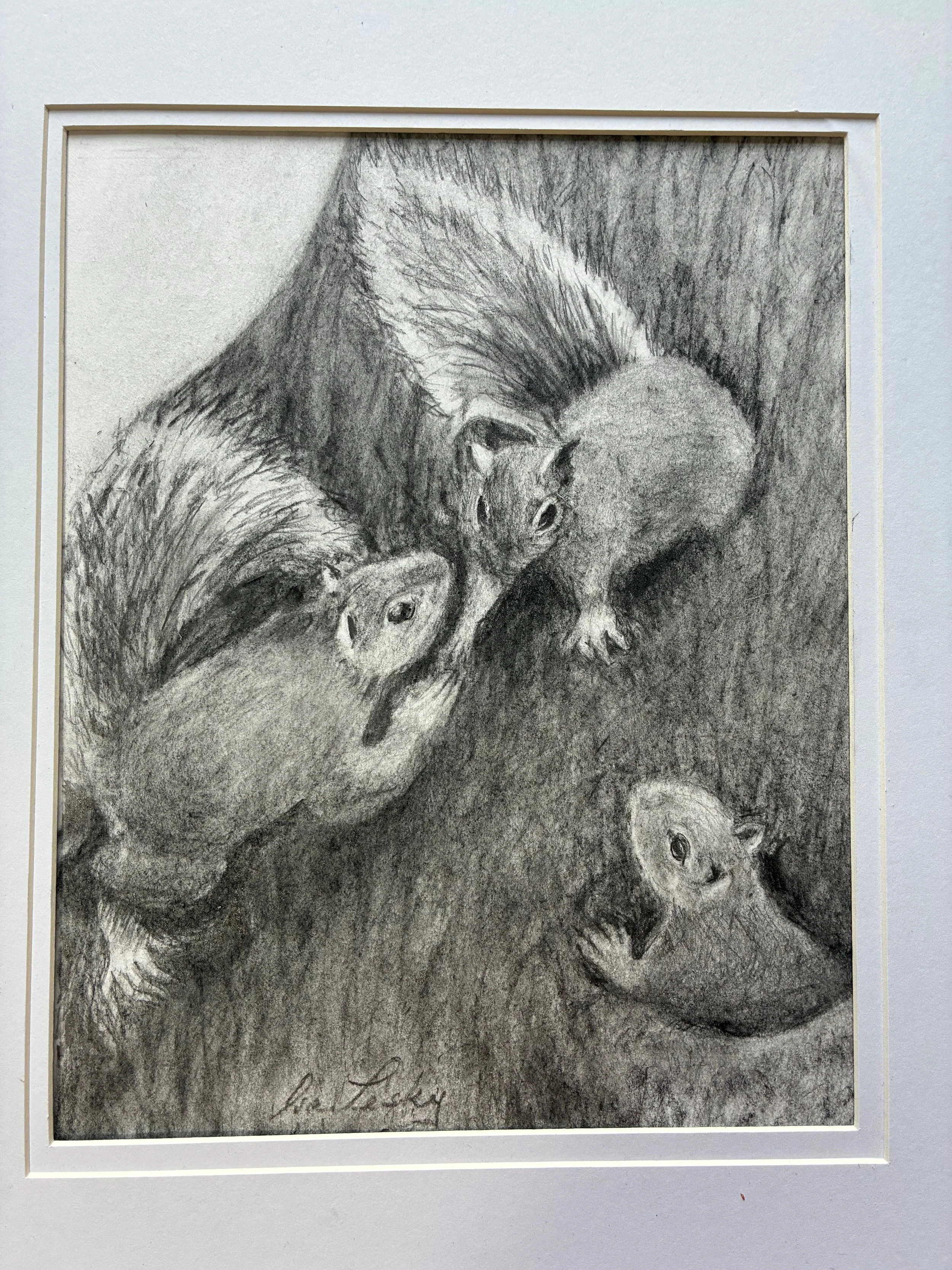 Image_Dray of Squirrels_ Iva Lesky - Carrie Natale.jpeg