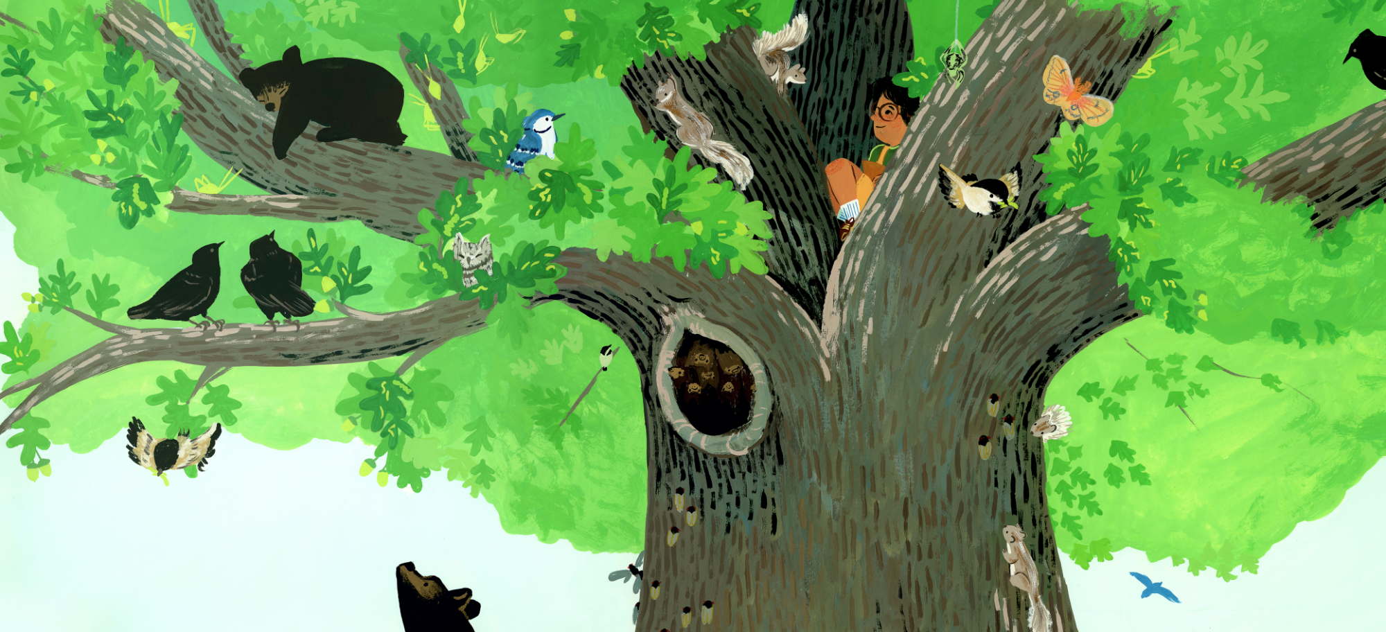 PageTurns_WhoseTreecover - Gallery Space.png