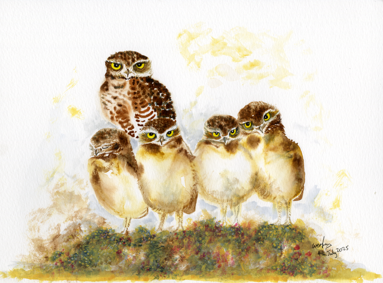 Image_Burrowing Owls_Wenfei_Tong - Carrie Natale.png