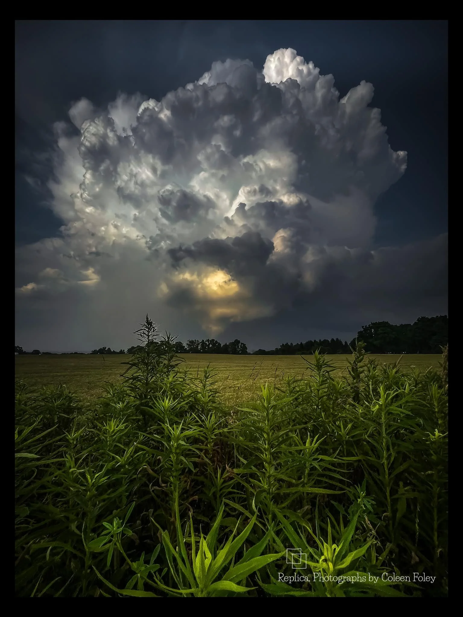 Supercell - Coleen Foley.jpg