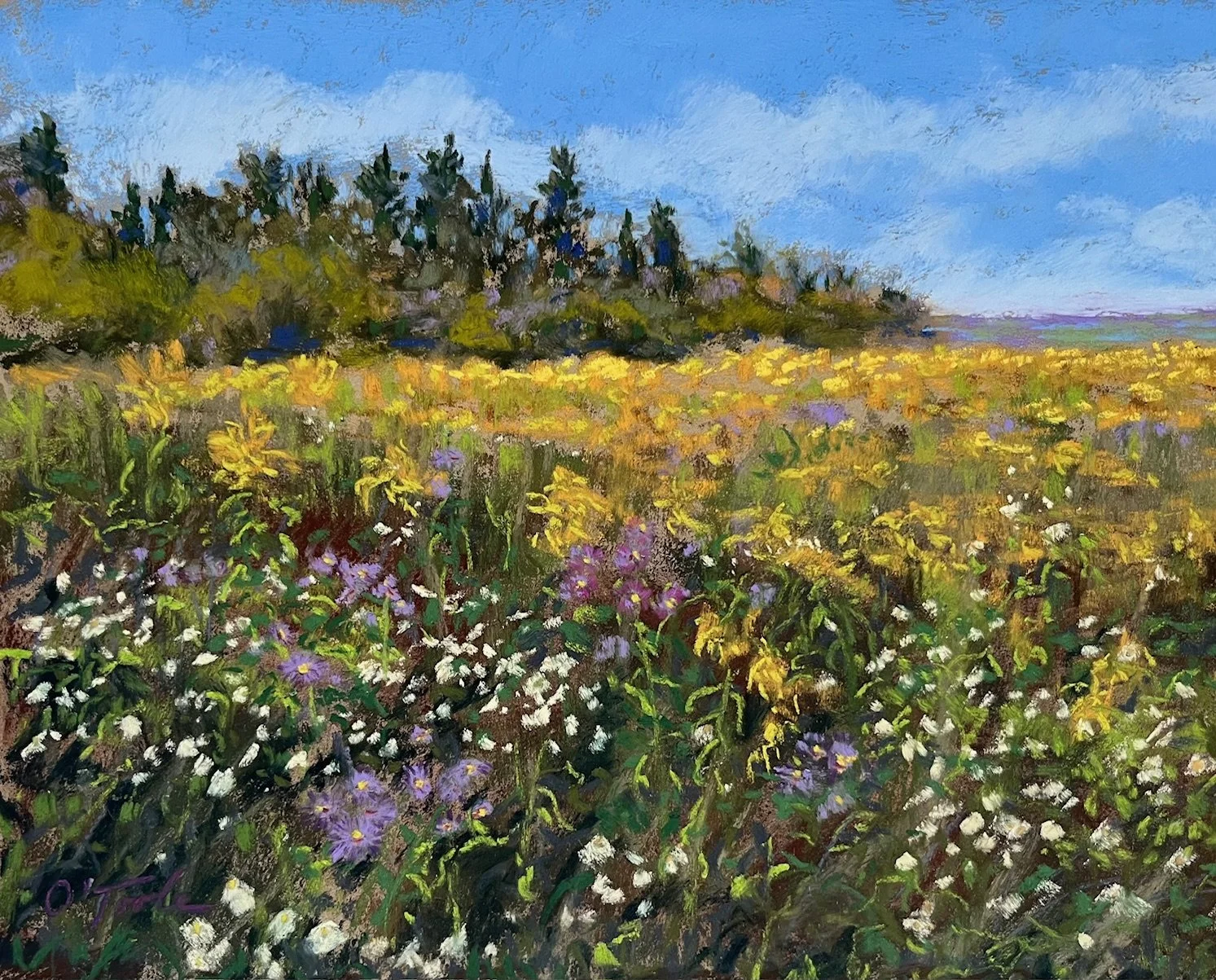 The Frame Shop on Buffalo Street