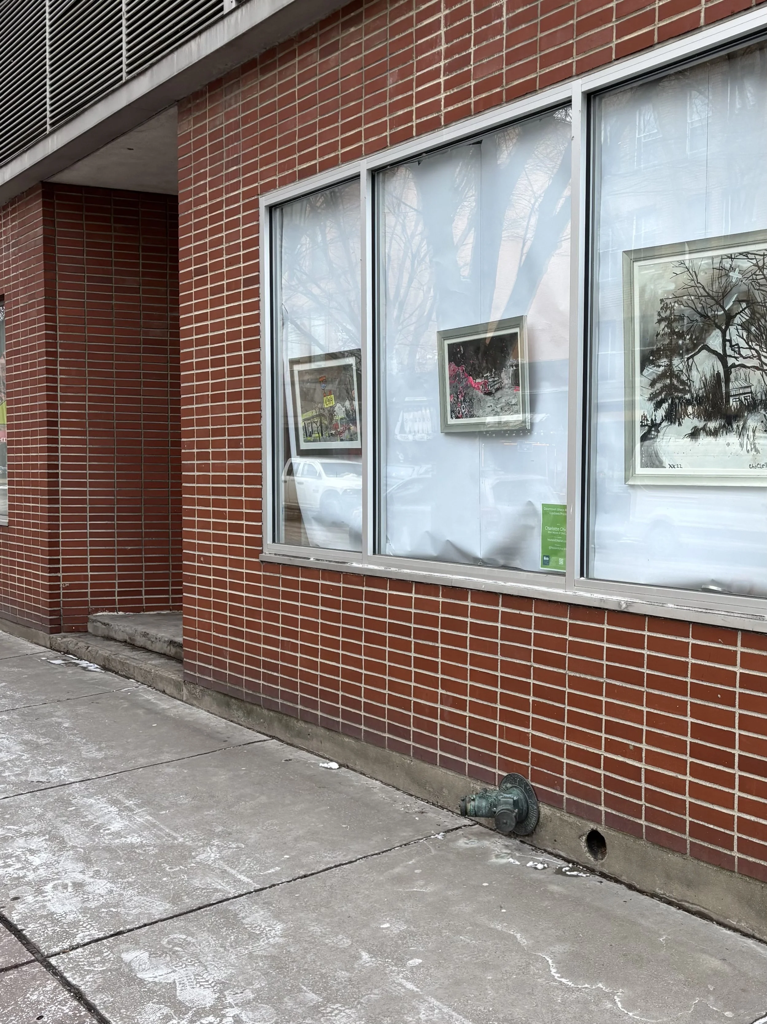 Downtown Ithaca Alliance Windows Project at 123-125 W. State & 110 West Green Street