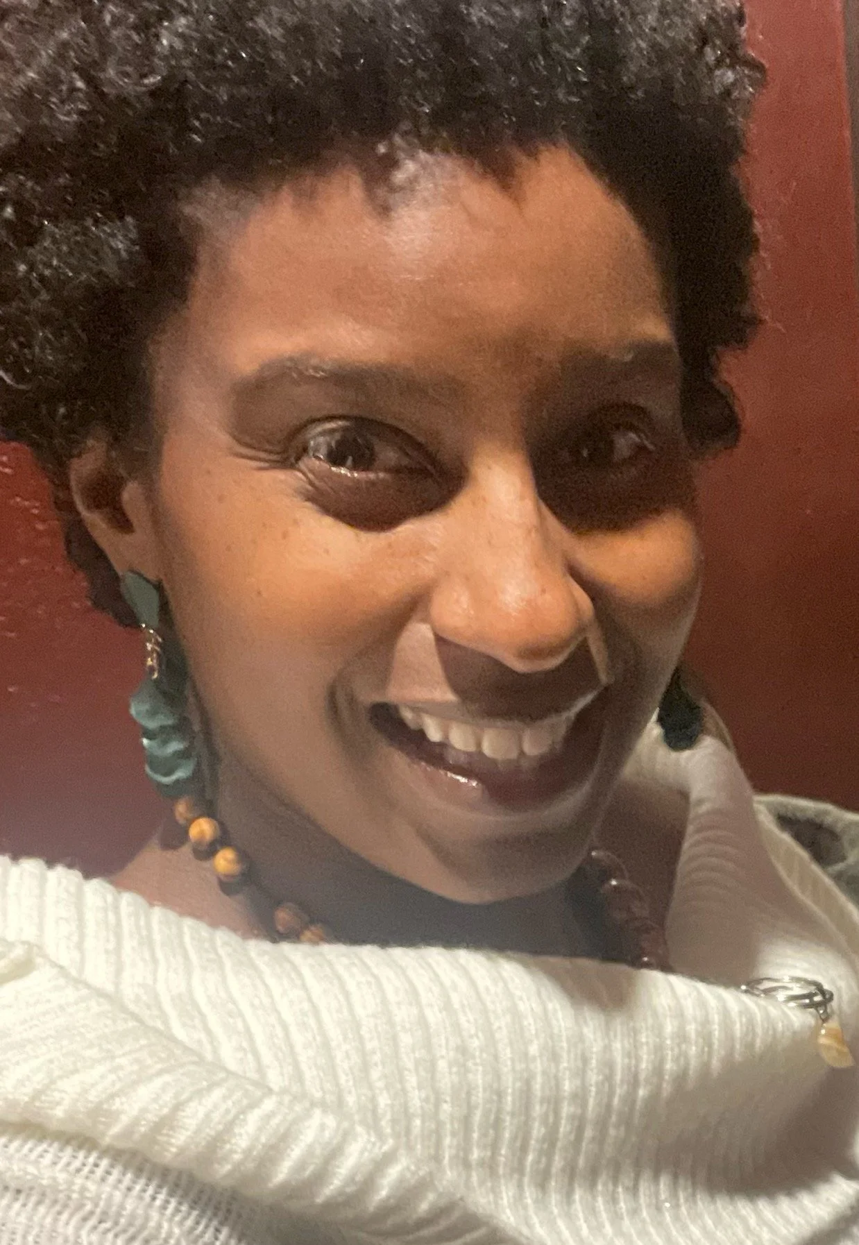 “We Made It”: Reflections from a PLTI Graduate