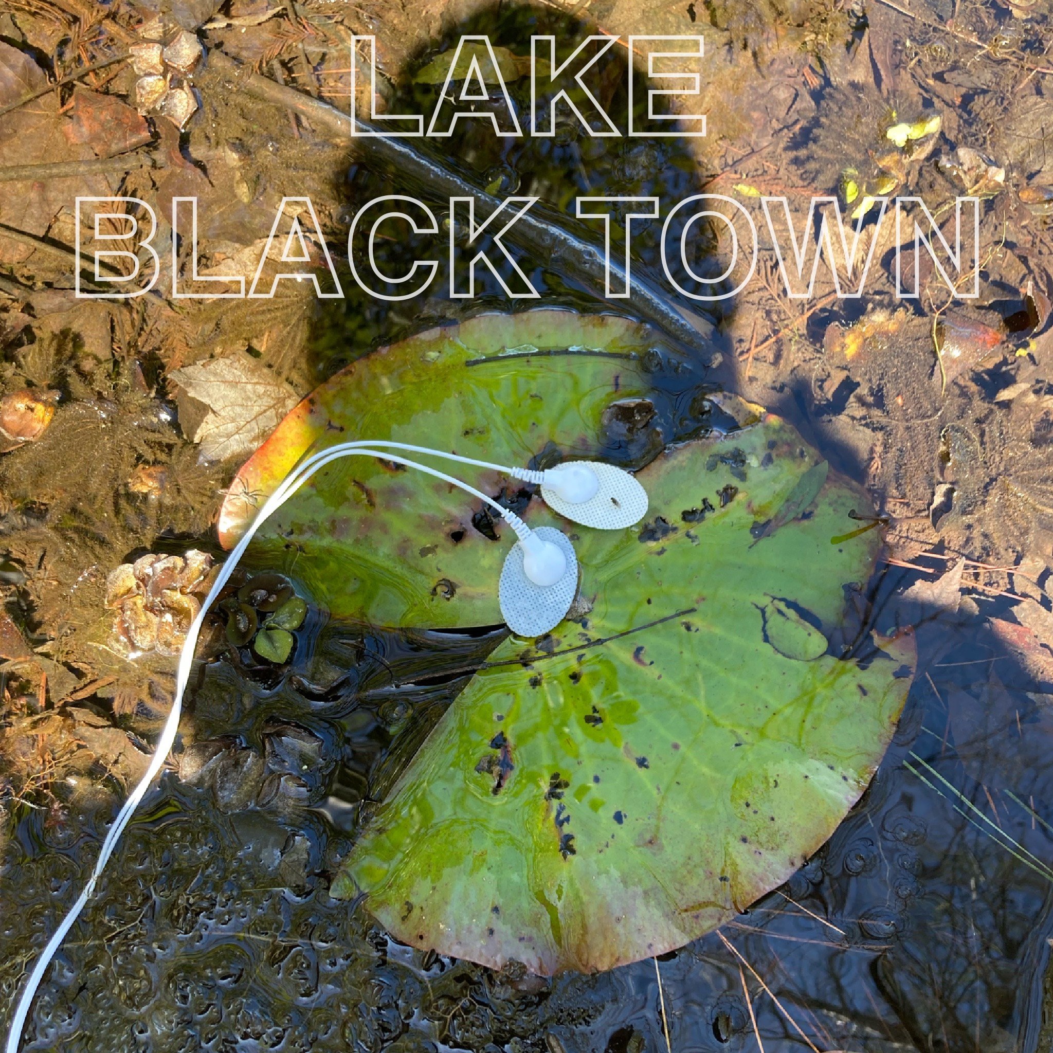 LAKE BLACK TOWN: a research composition project by JayVe Montgomery