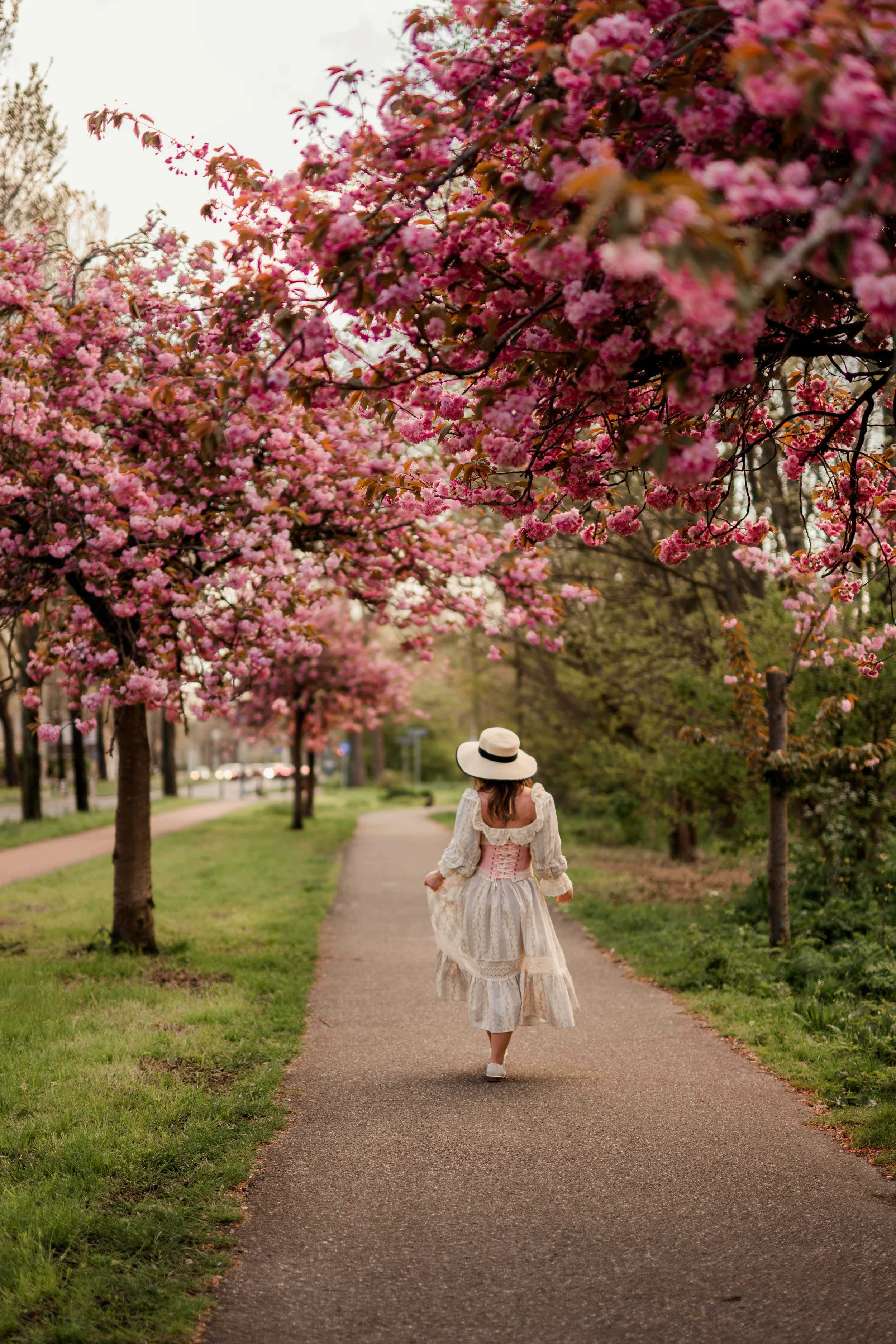 woman walking on a path between blooming cherry trees; pink blooming trees; woman in vintage dress and a hat