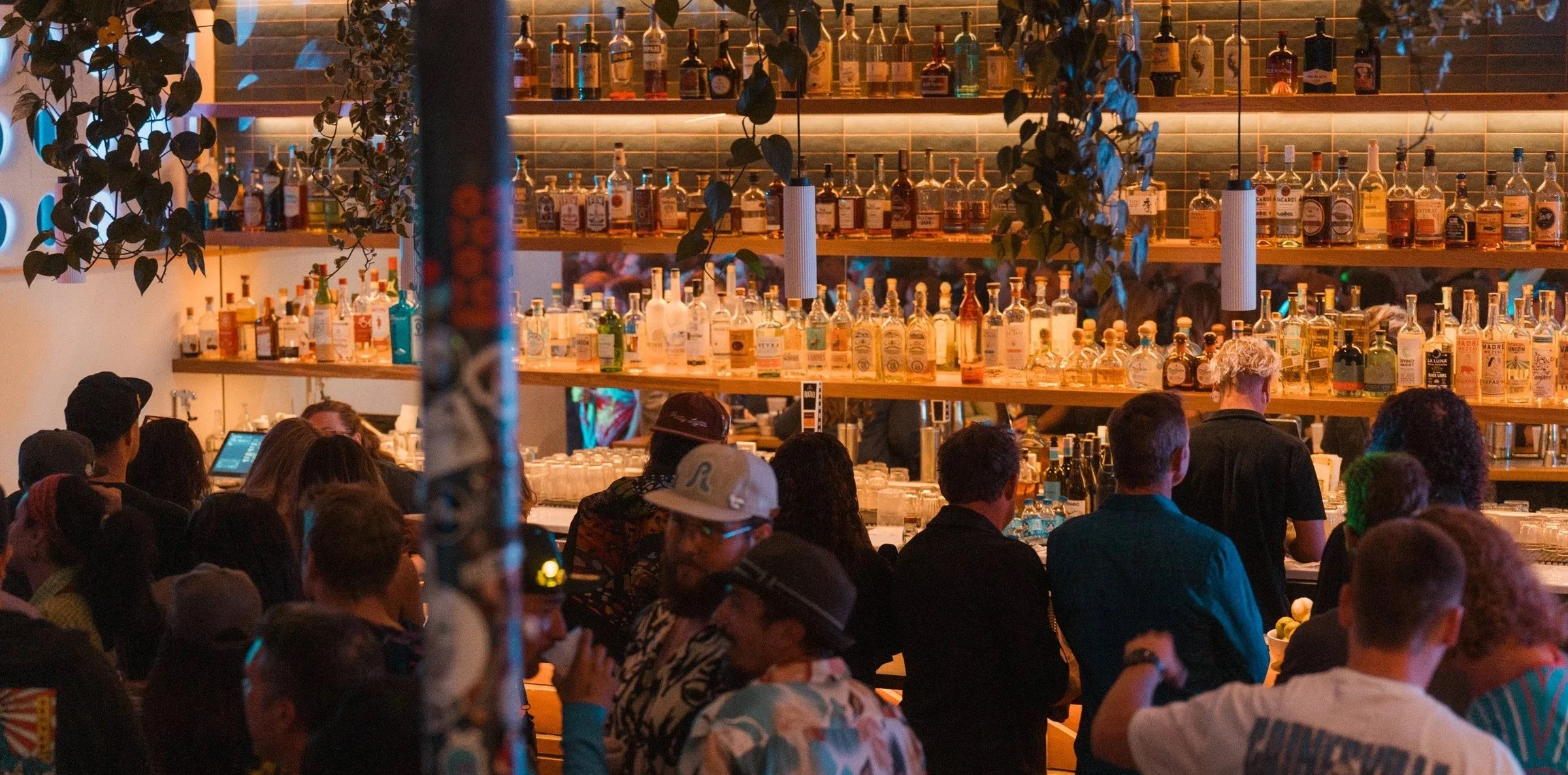 Cocktail, Cocktail Bar, Wine, Beer, Live Music