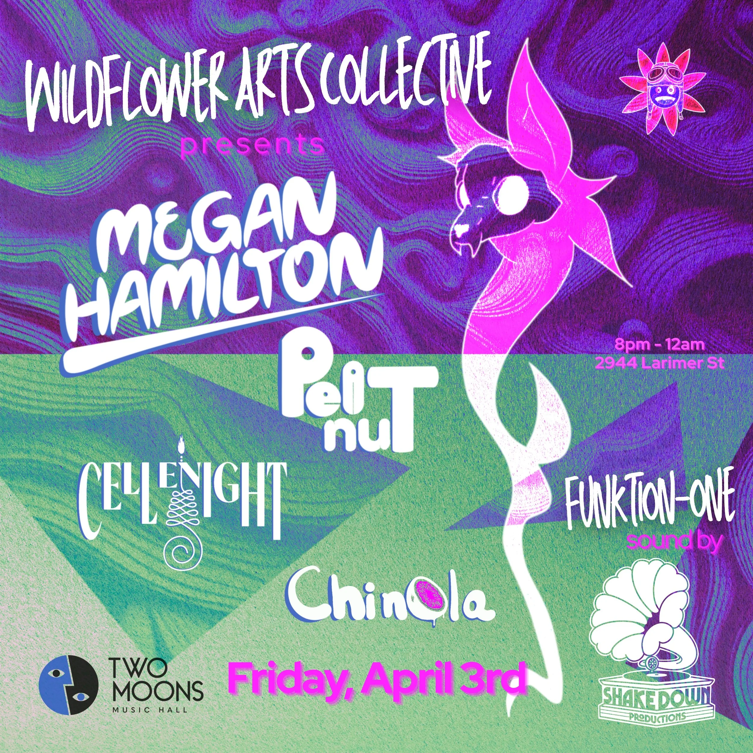 Wildflower Arts Collective Pres: Megan Hamilton