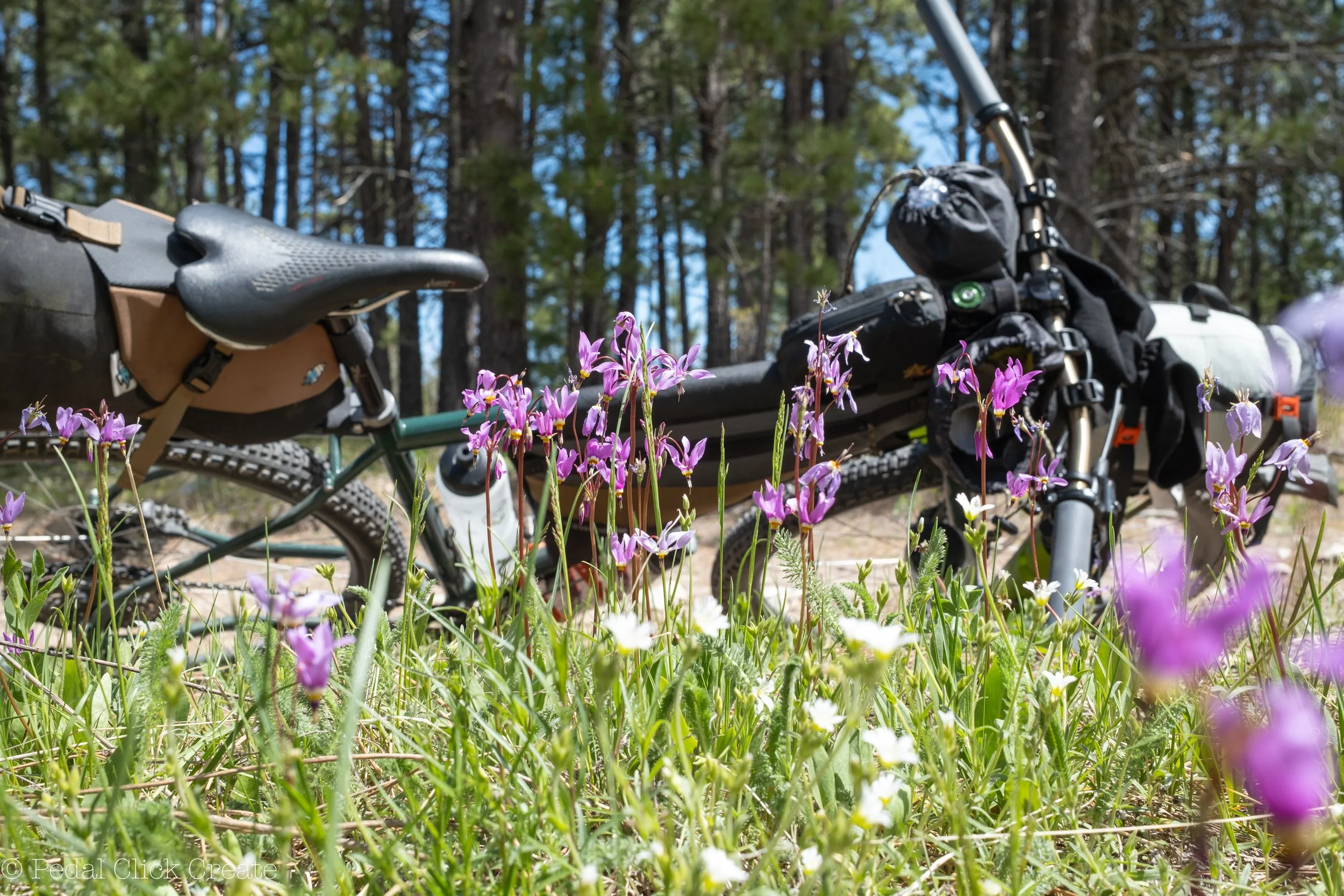 JWB_X100VI_REVIEW_BIKEPACKING-2.jpg