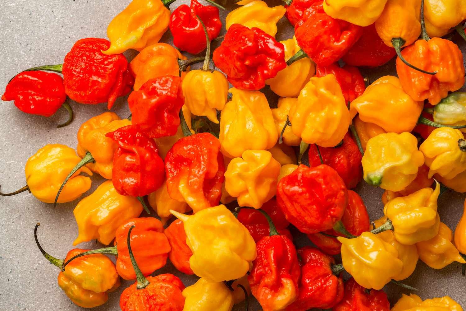 Carolina-Reaper-Pepper-Three-Time-Hotter-Pepper-FT-BLOG1023-b2c840f1ec3a458c8335e1a8ae7801d5.jpg