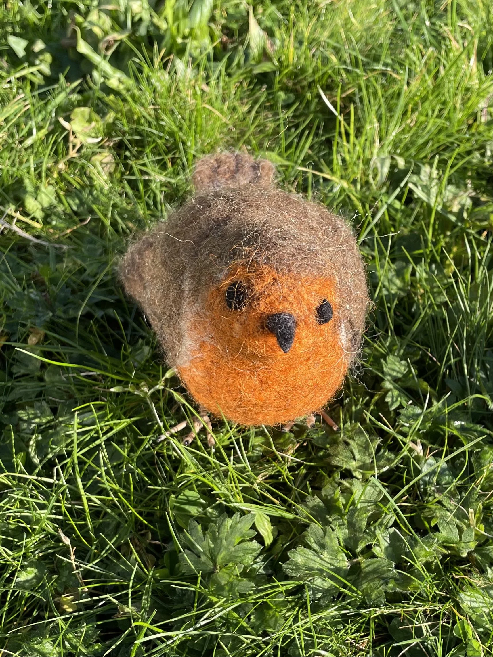 Needle Felt a Robin  |  25th November