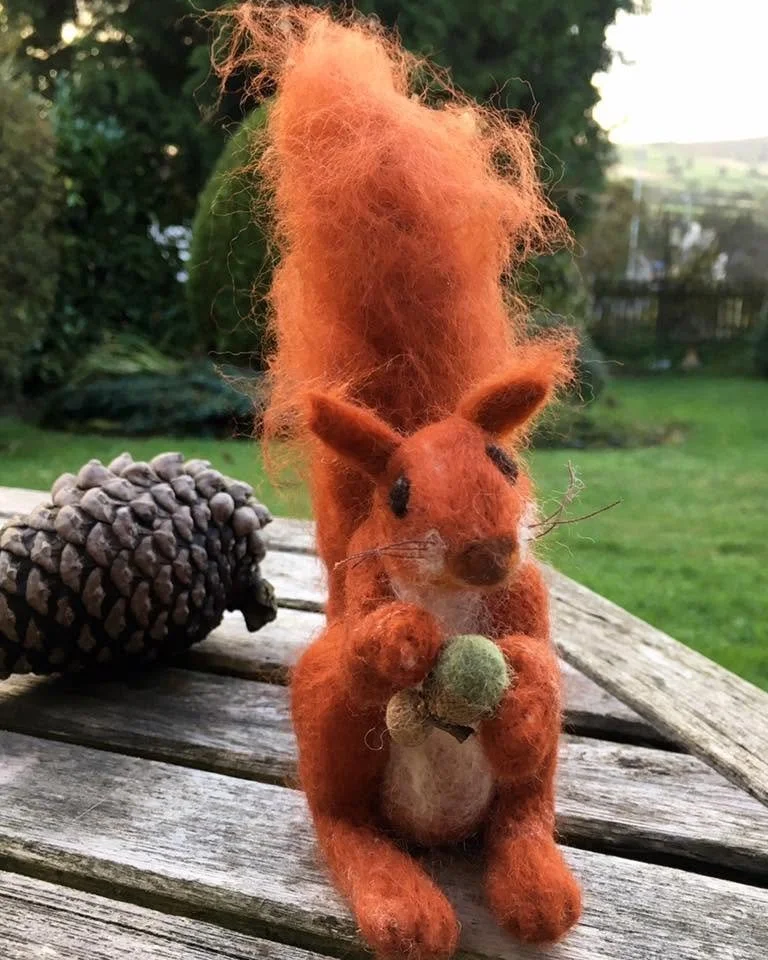 squirrel.jpg