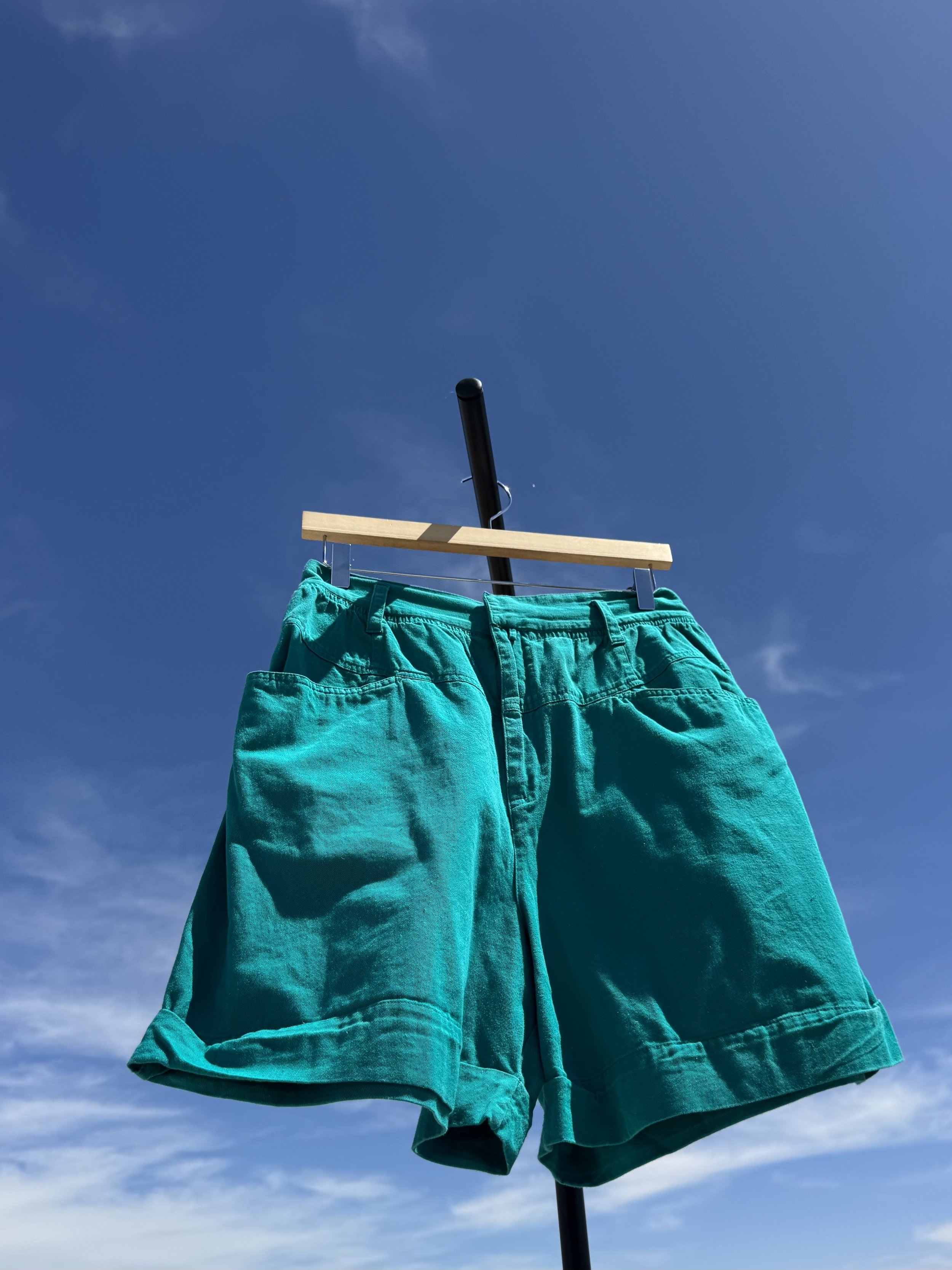 EARTH DAY DROP High Advantage Shorts - 1980s
