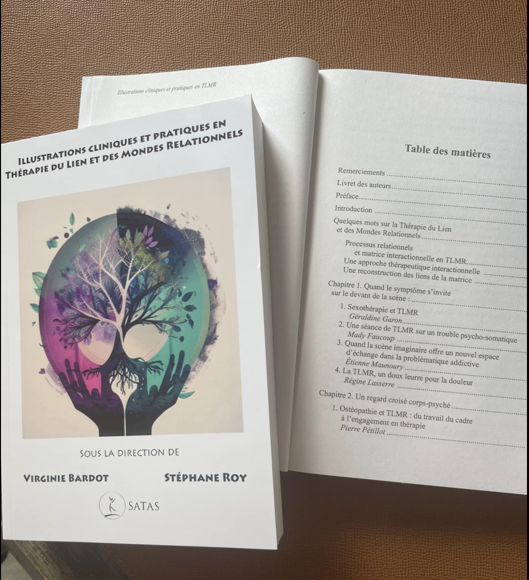 Les apports de l’externalisation en co-thérapie dans la mise en forme du monde relationnel familial