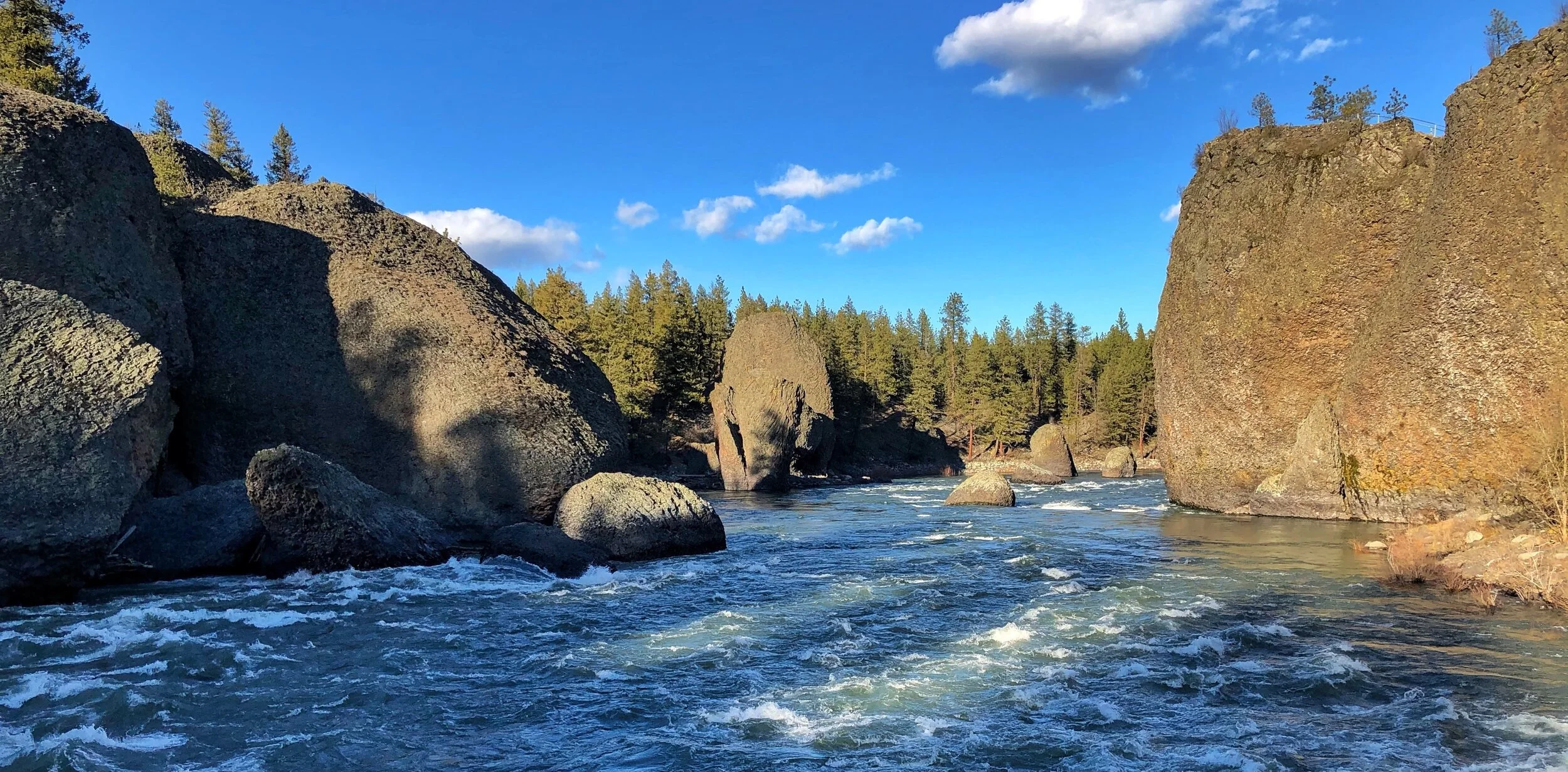 BowlAndPitcherSpokane.jpg
